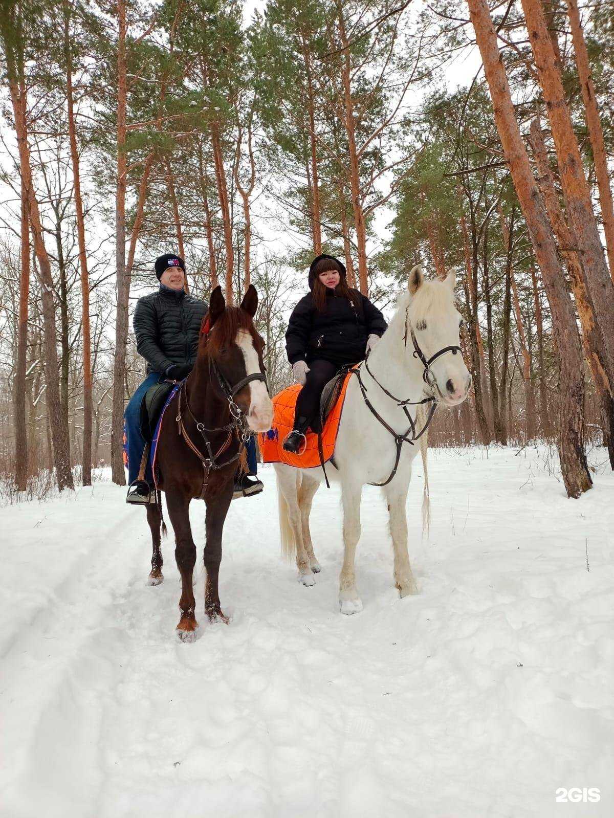 Отзывы на компанию Небесный аргамак в г. Пенза c фото