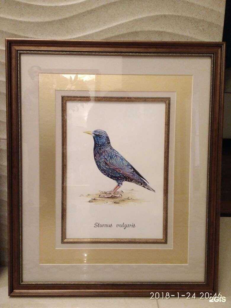 Отзывы на компанию Арт сити 54 в г. Новосибирск c фото