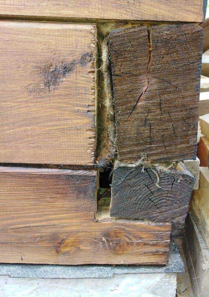 Отзывы на компанию Домлесстрой в г. Новосибирск c фото