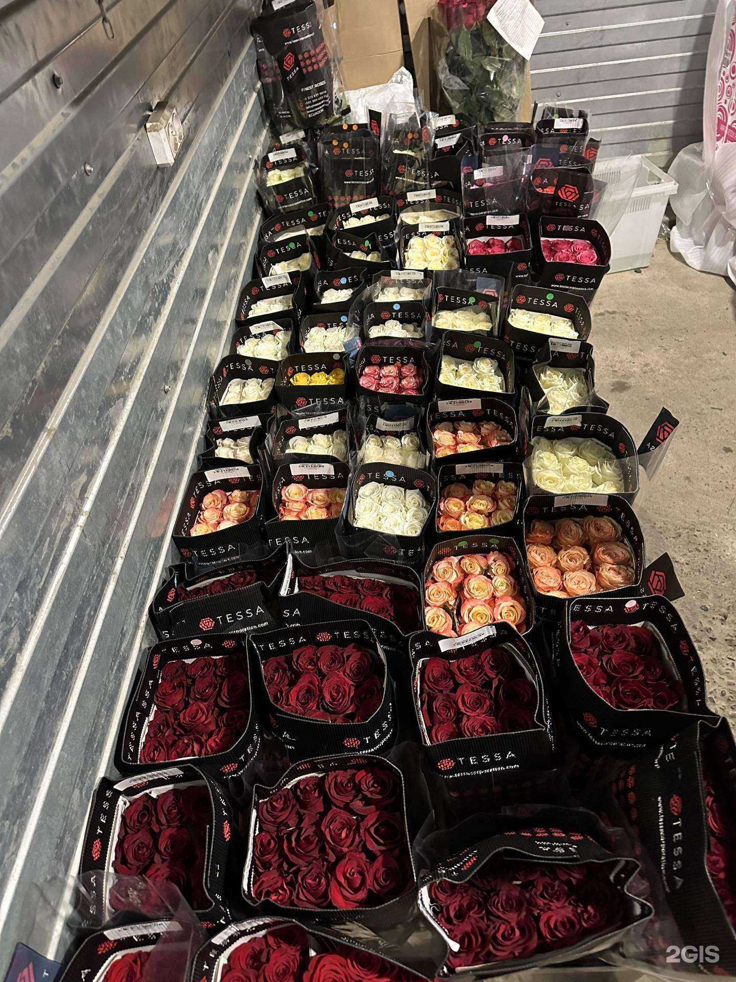 Отзывы на компанию Гербера в г. Красноярск c фото