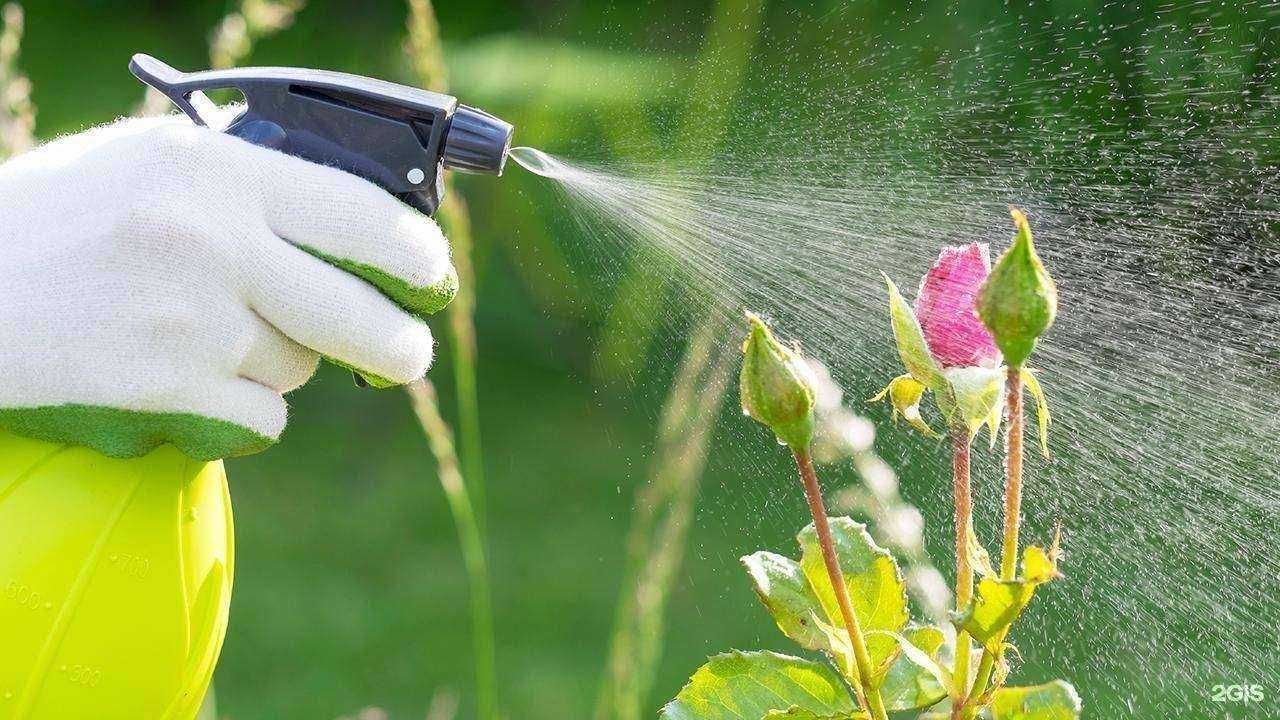 Отзывы на компанию Северин в Туле c фото