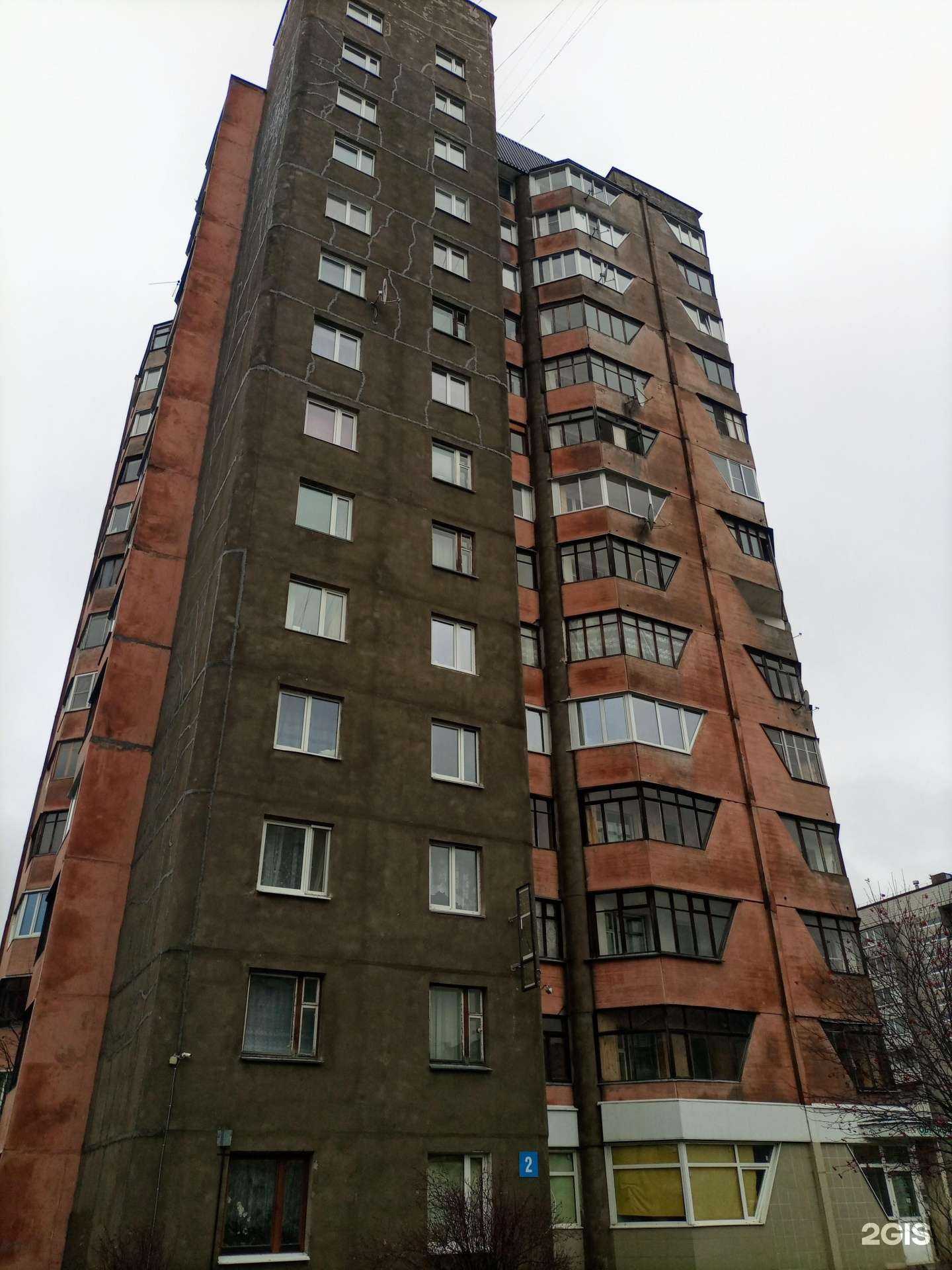 Отзывы на компанию Королева в Петрозаводске c фото