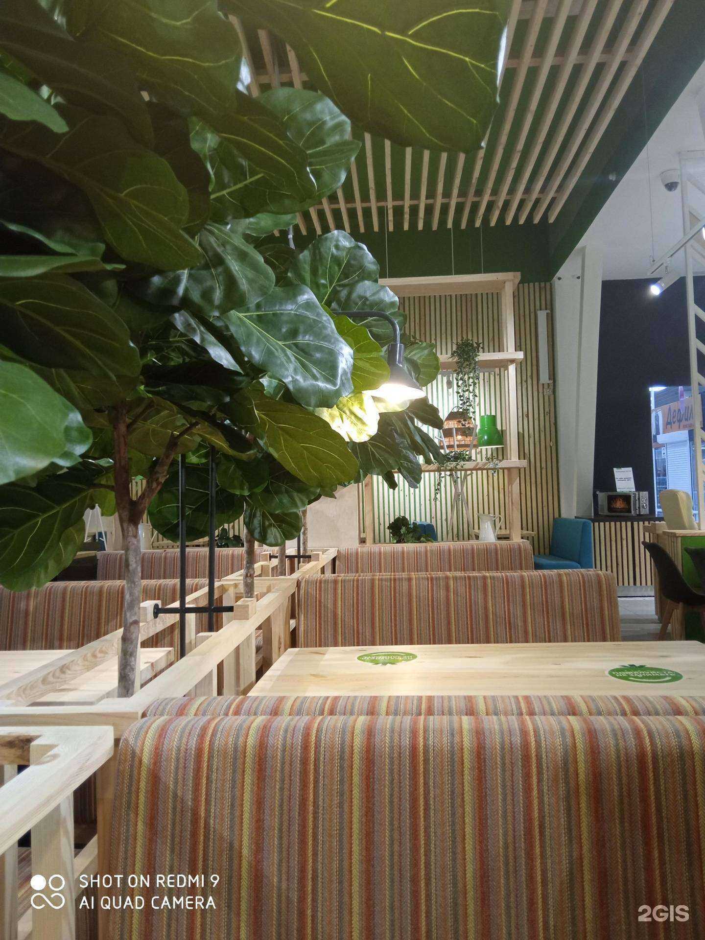 Отзывы на компанию Додо Пицца в Лесное c фото - фотография 2 из 2