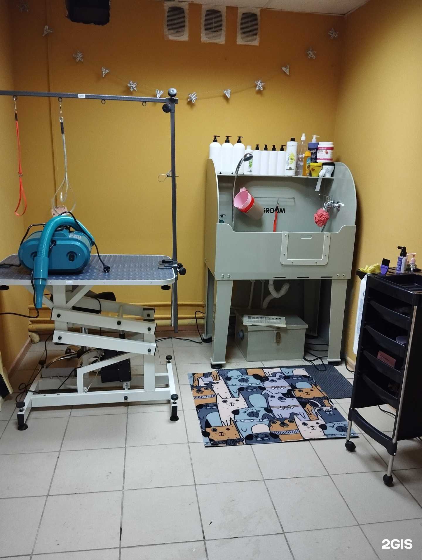 Отзывы на компанию Лапочки в Рязани c фото