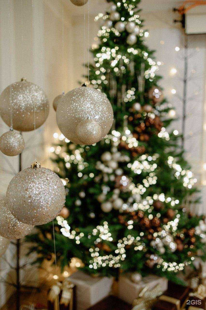 Отзывы на компанию MioPhoto в г. Липецк c фото