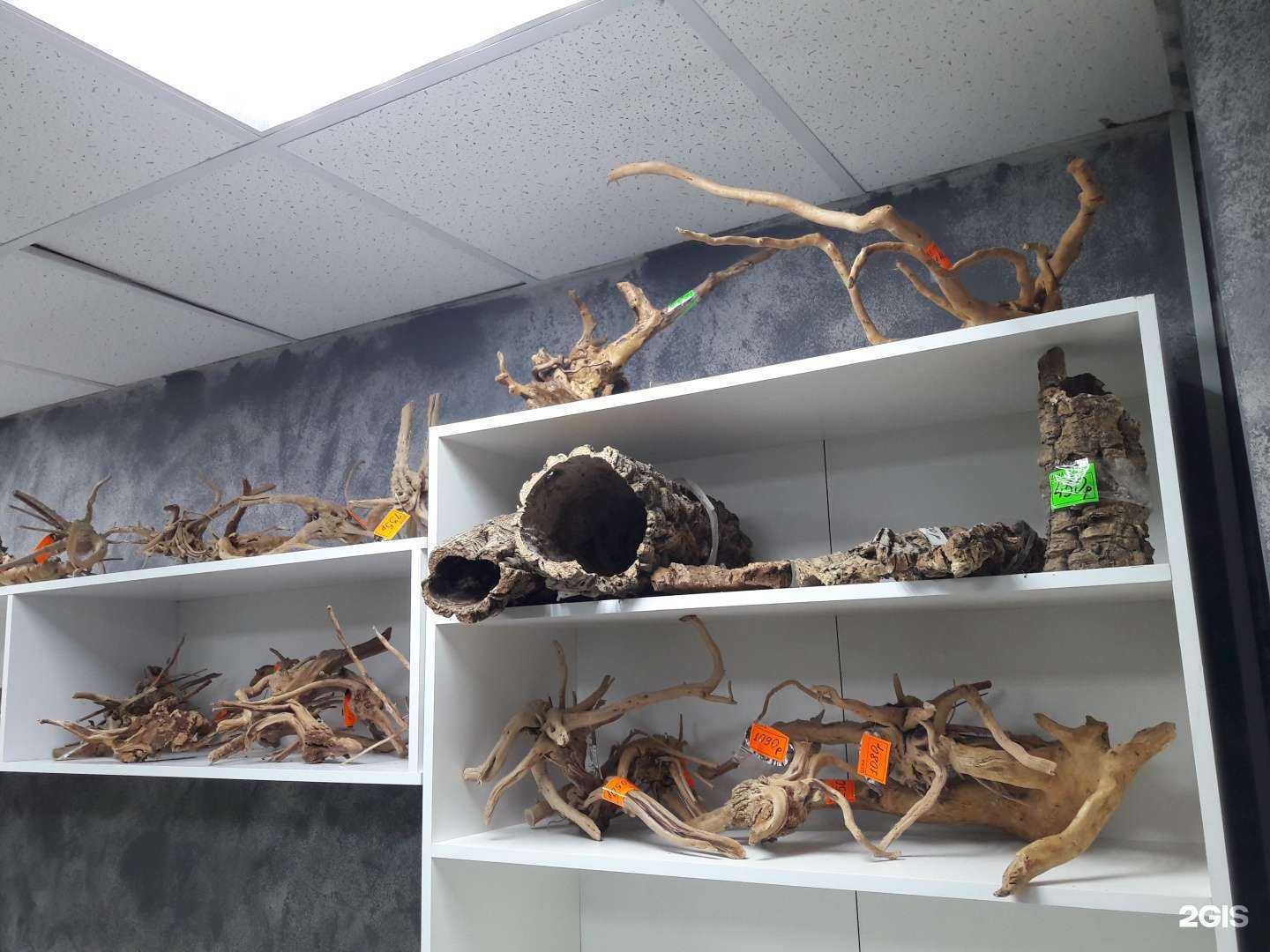 Отзывы на компанию Акватропик74 в Челябинске c фото