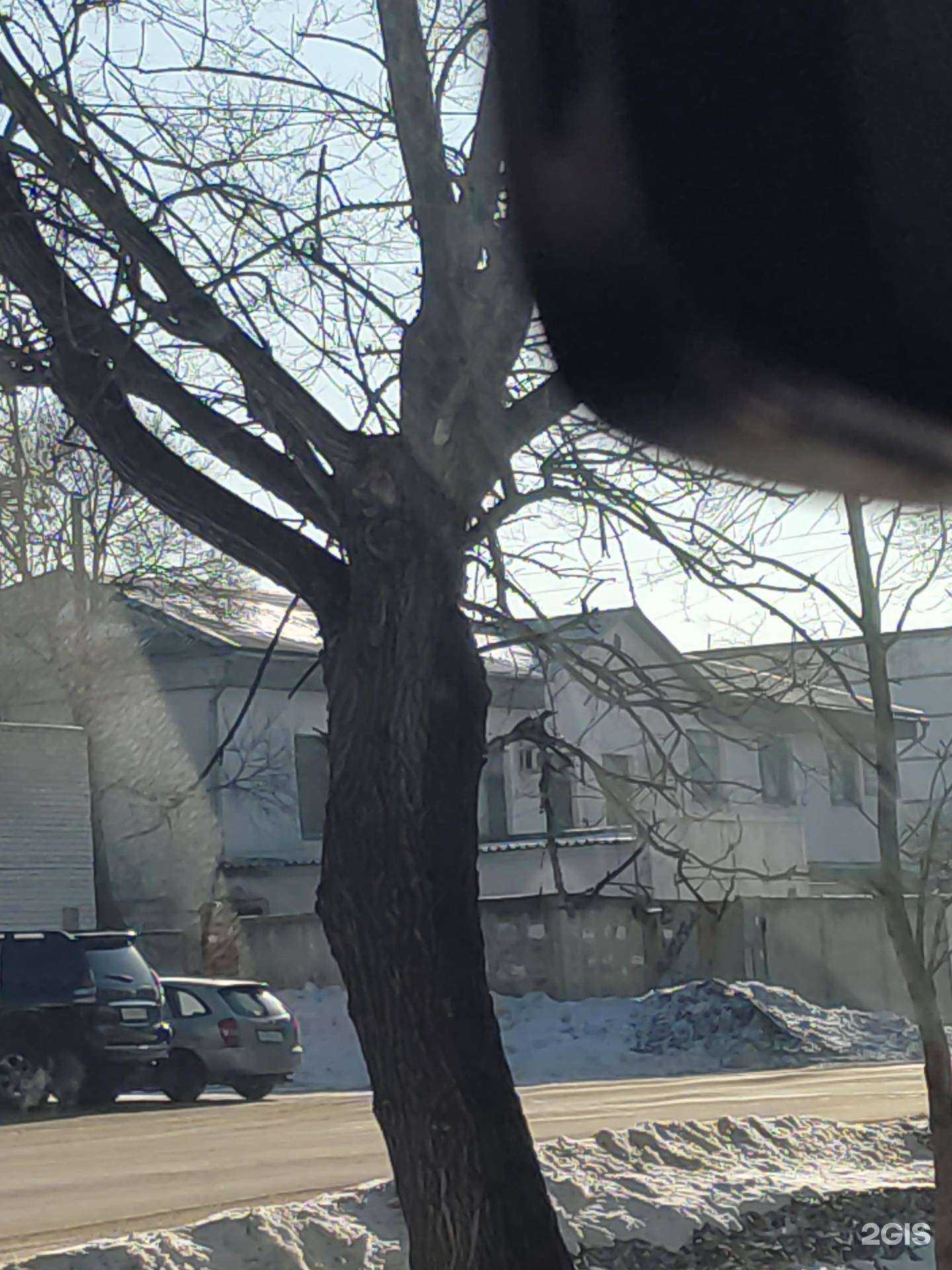 Отзывы на компанию Оргсервис в г. Уссурийск c фото