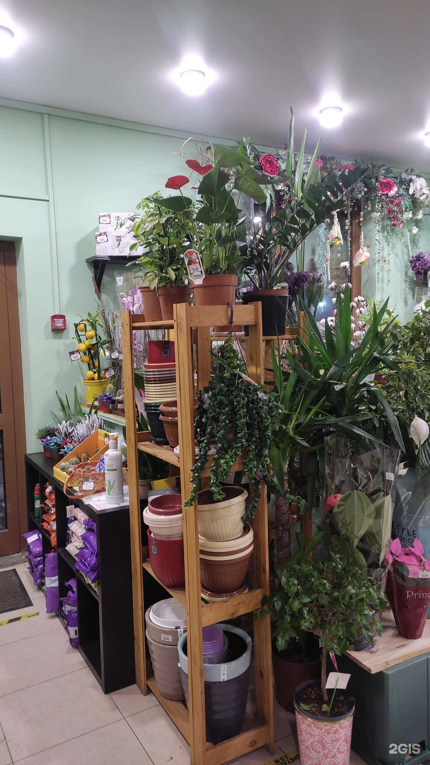 Отзывы на компанию Floмастер в г. Одинцово c фото