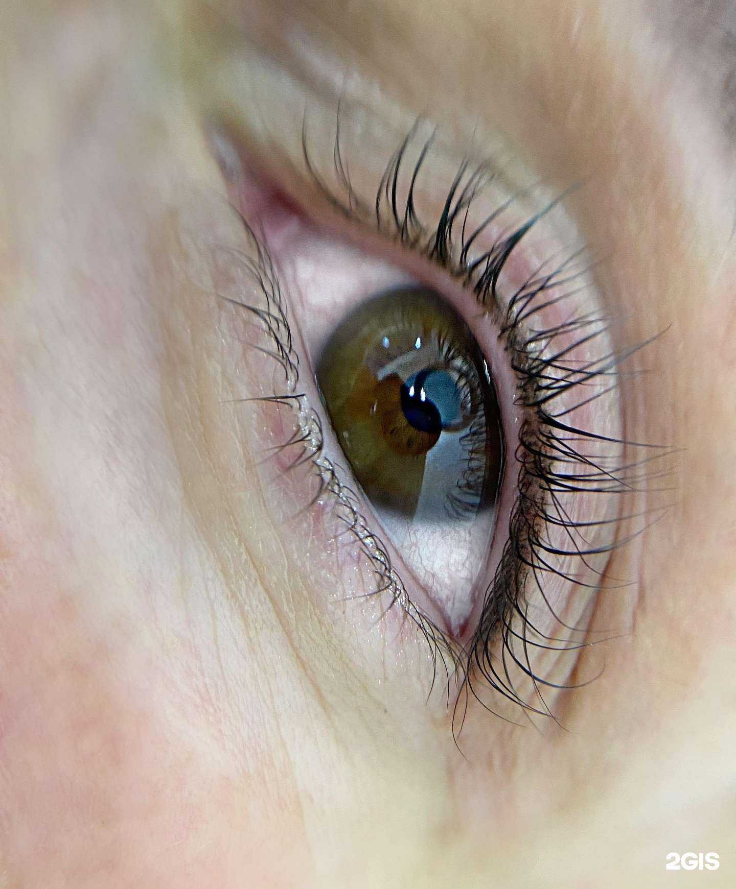 Отзывы на компанию Oli в Перми c фото