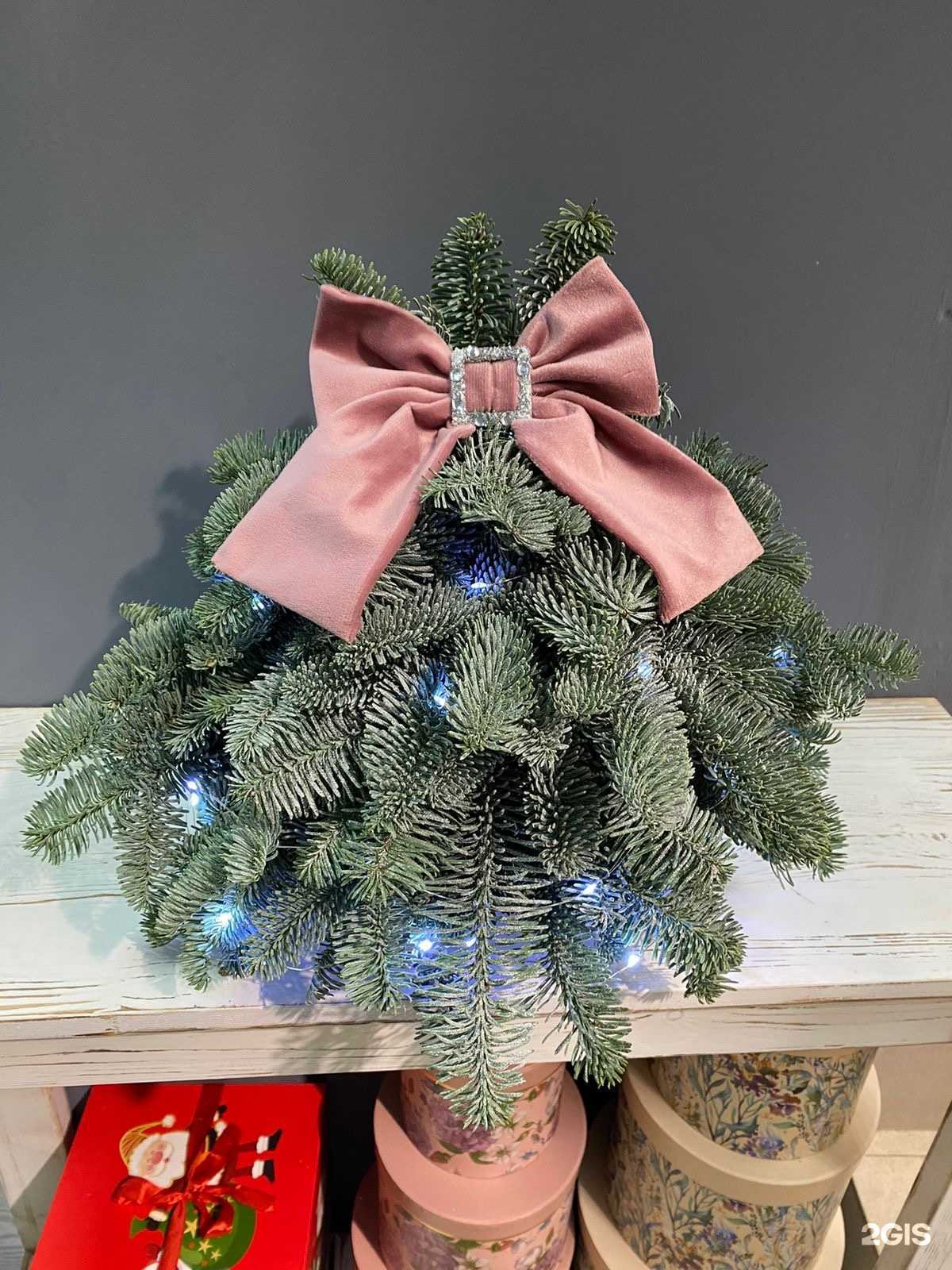 Отзывы на компанию Пион в Ярославле c фото