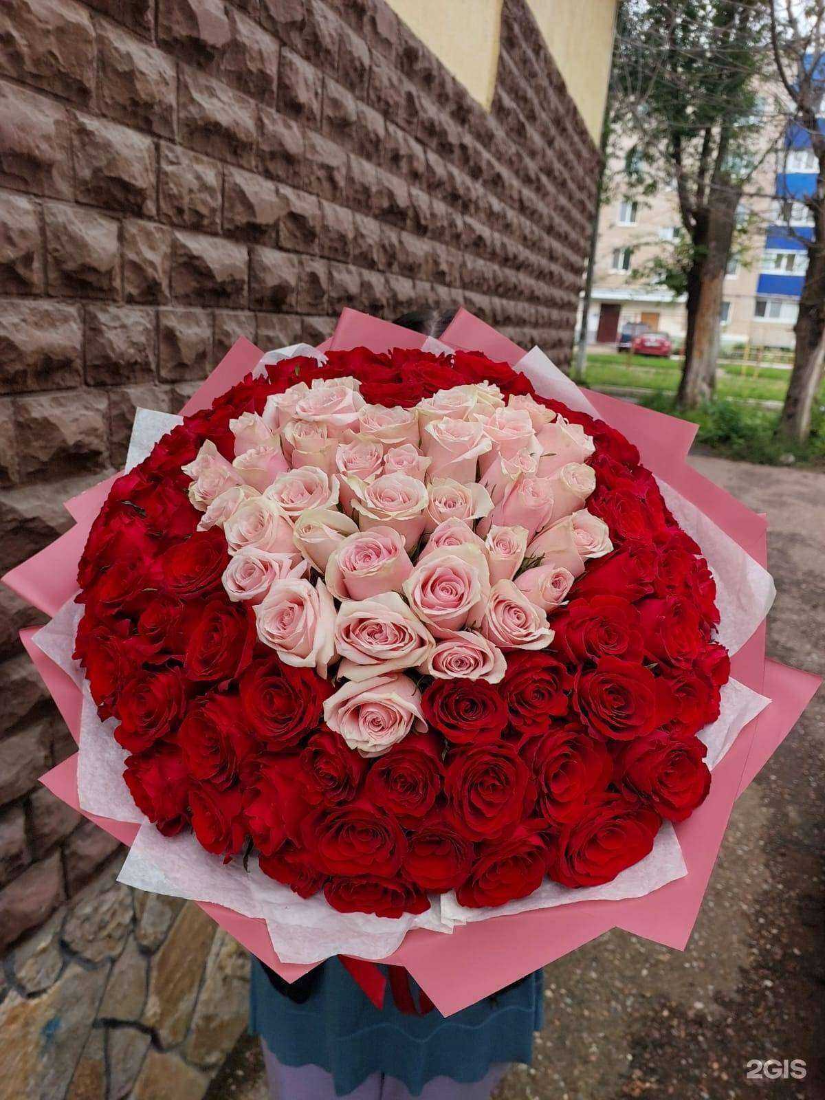 Отзывы на компанию Версилия в Стерлитамаке c фото