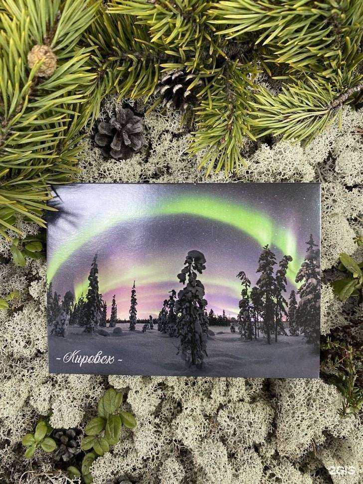 Отзывы на компанию Футболка 51 в Кировске c фото