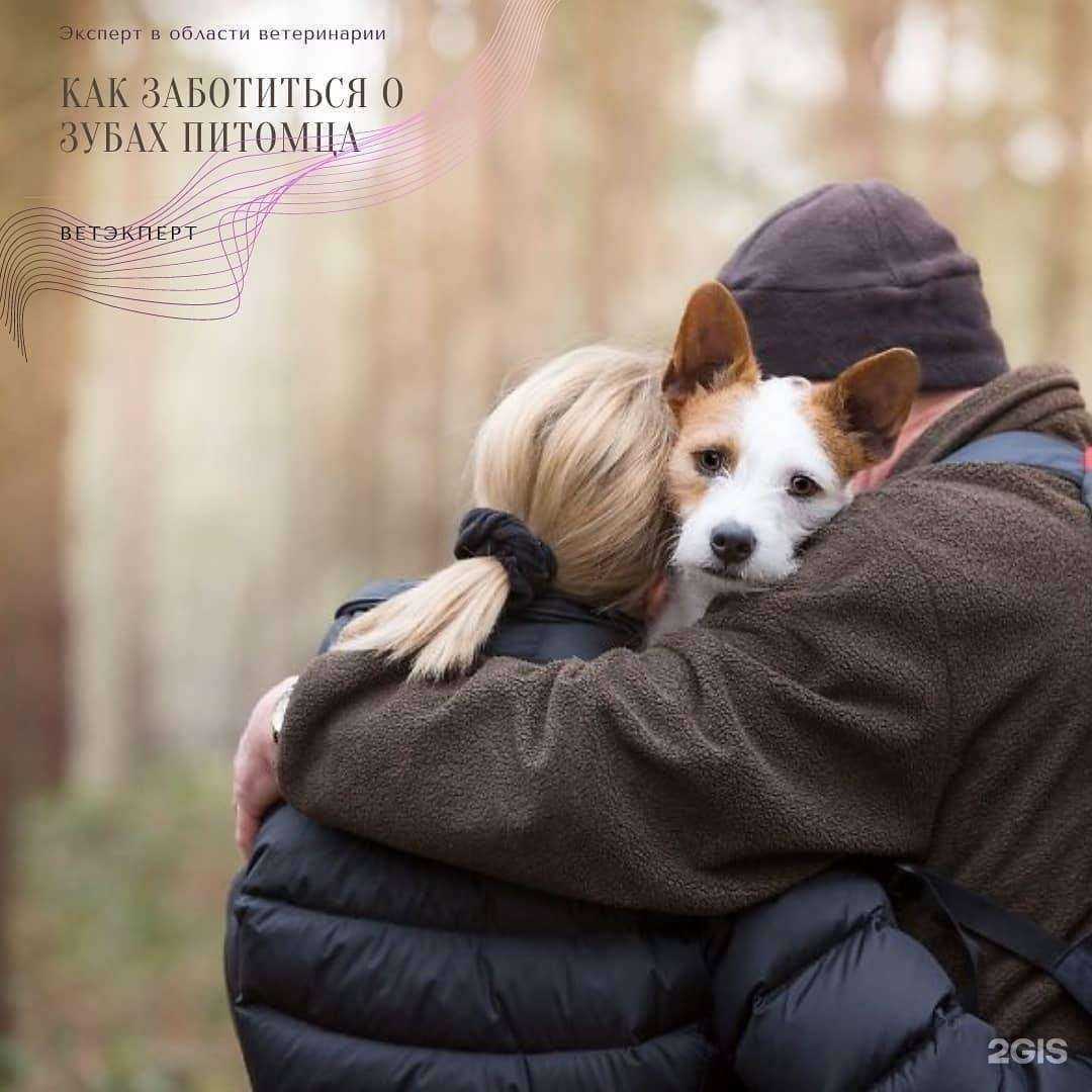 Отзывы на компанию ВетЭксперт в Барнауле c фото