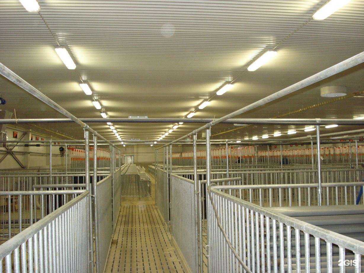 Отзывы на компанию Спецмонтаж в Орле c фото