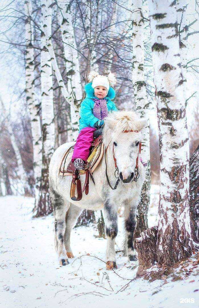 Отзывы на компанию Центавр в г. Нижний Новгород c фото