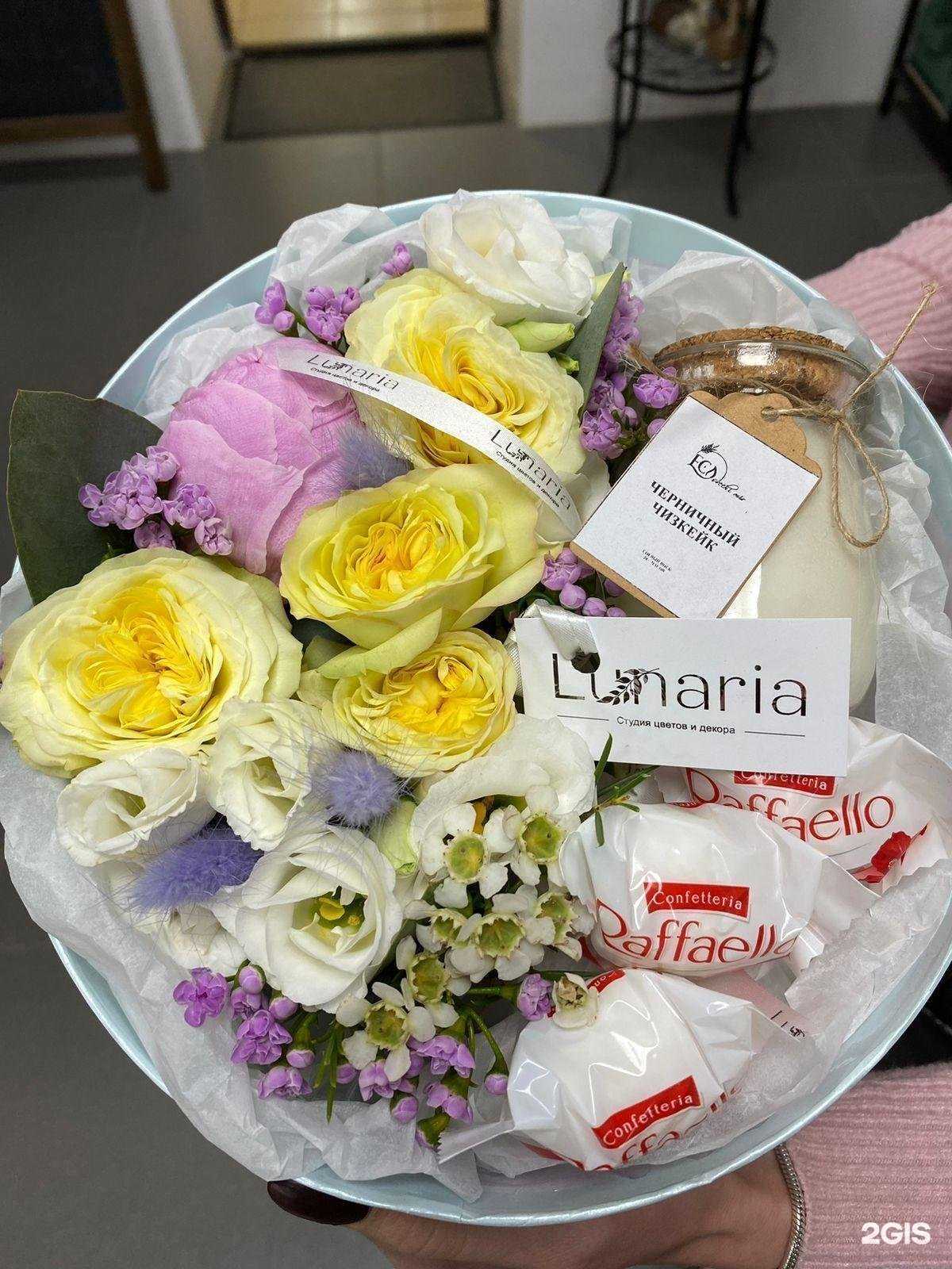 Отзывы на компанию Lunaria в Новосибирске c фото