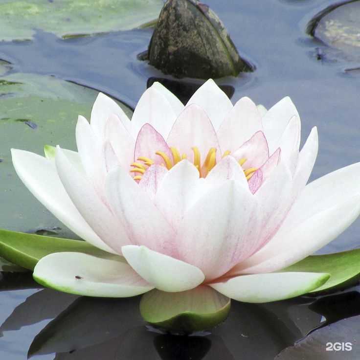 Отзывы на компанию Кабинет телесной терапии в Костроме c фото