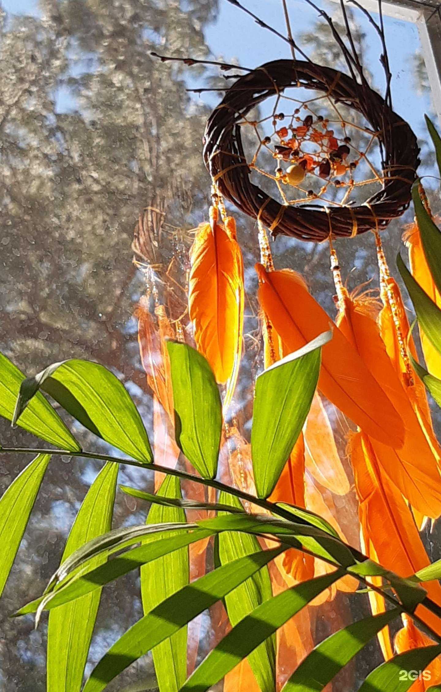 Отзывы на компанию Эстетикс лайф в Геленджике c фото