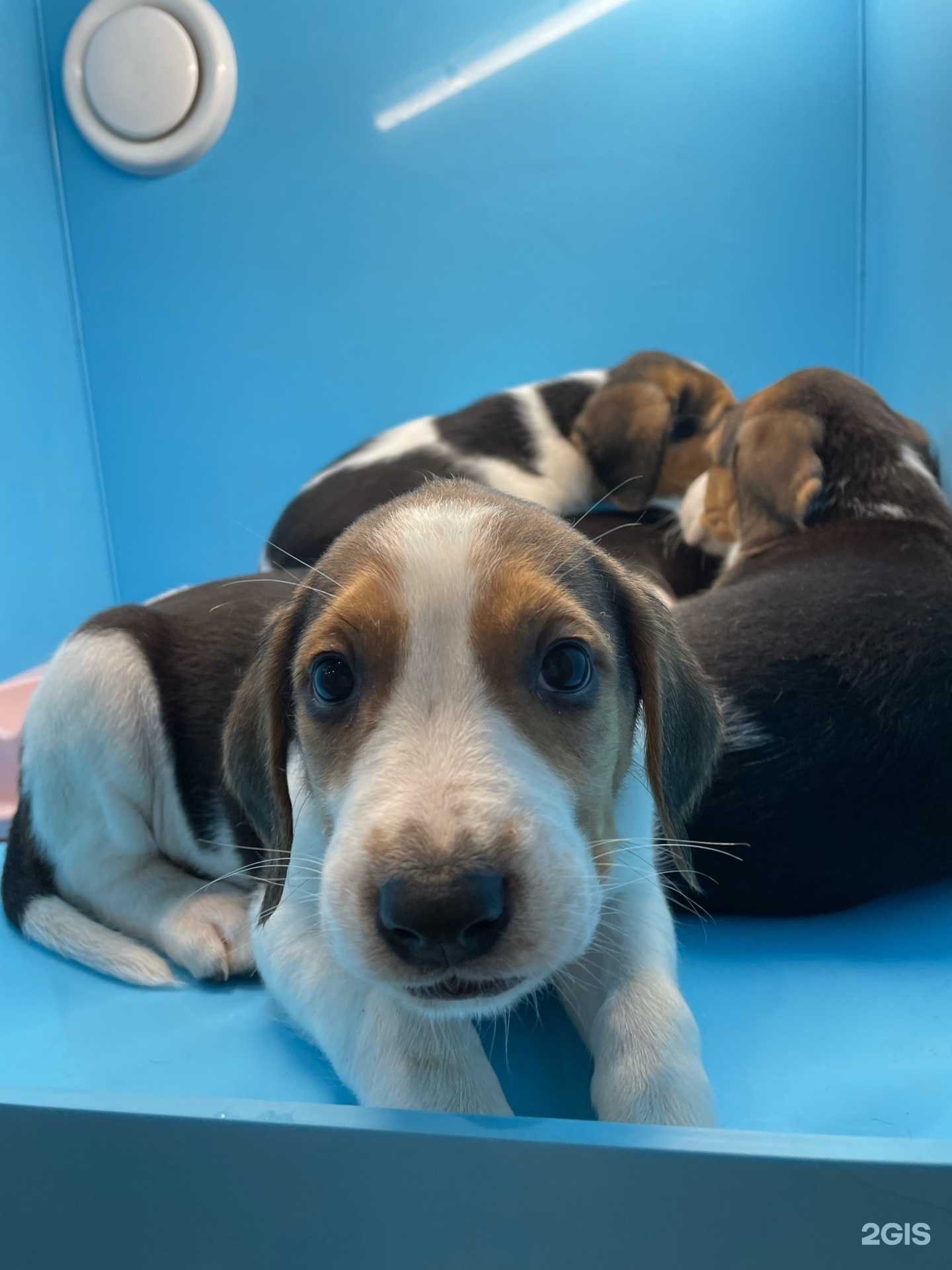 Отзывы на компанию Надежда в Белорецке c фото