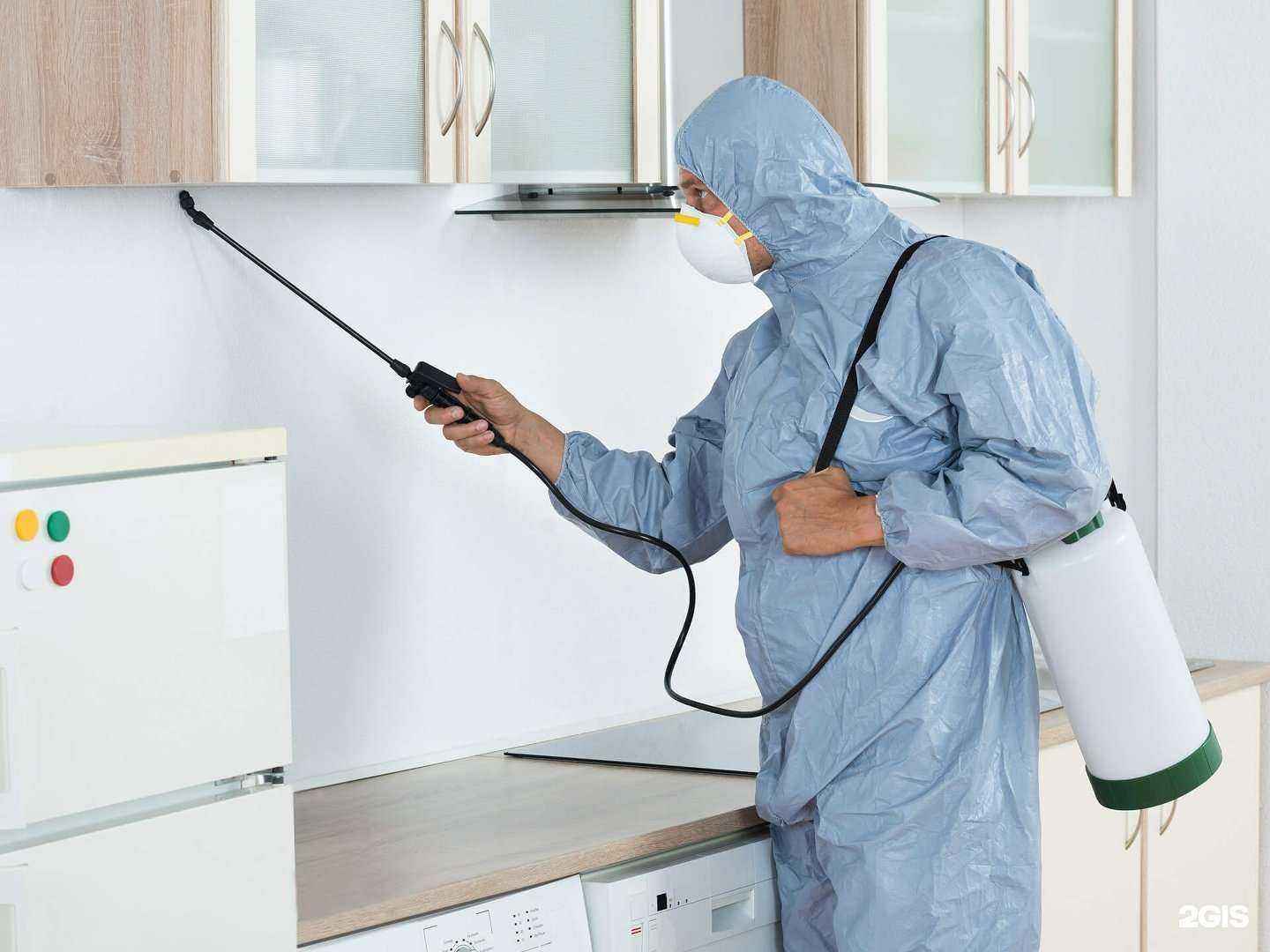 Отзывы на компанию Дезирс в Иркутске c фото