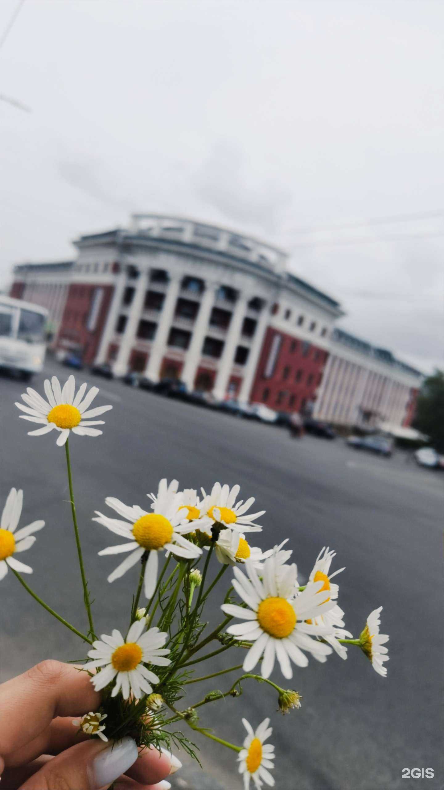 Отзывы на компанию BrowHouse в Петрозаводске c фото