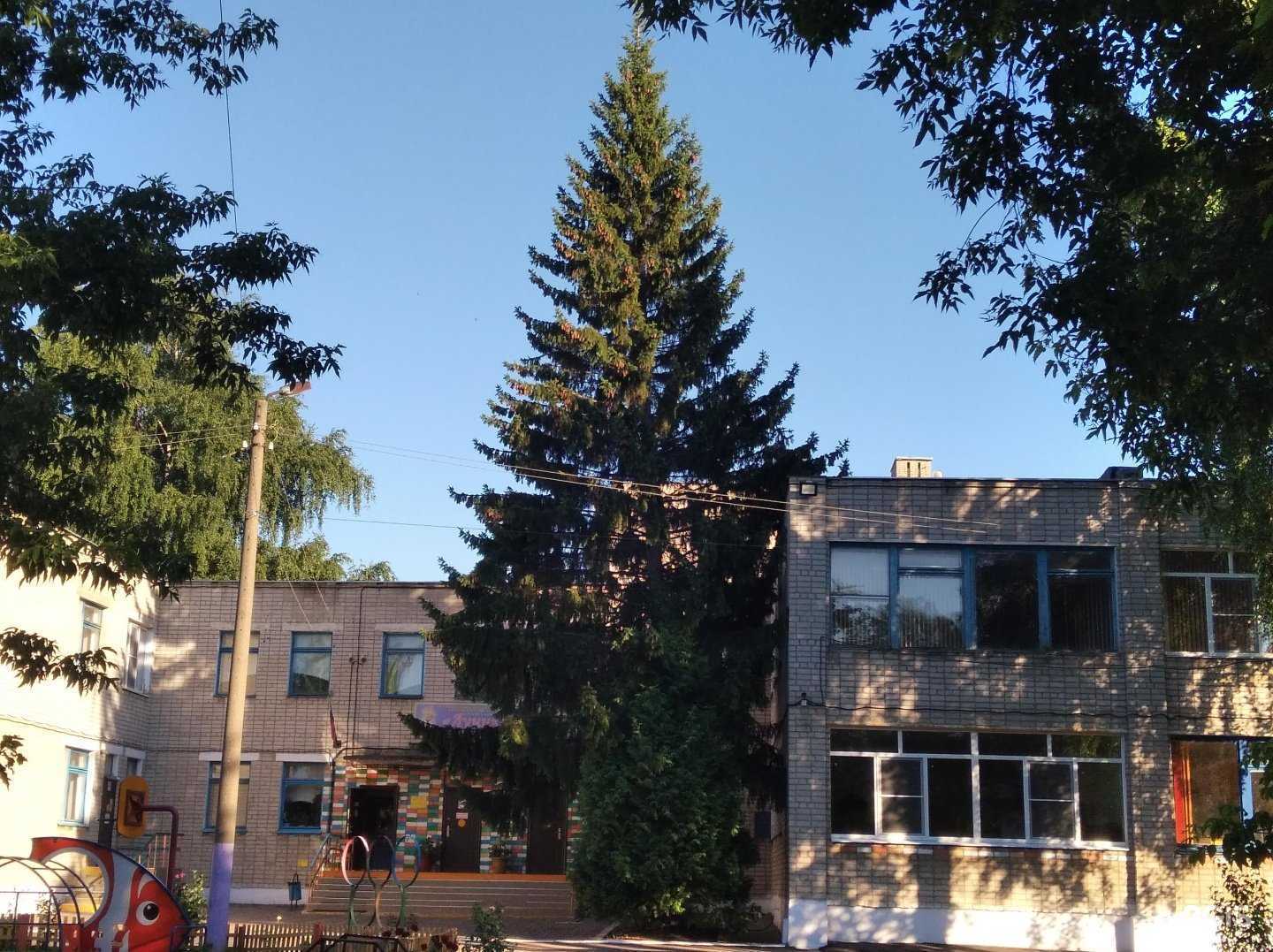 Отзывы на компанию Лучик в Тамбове c фото