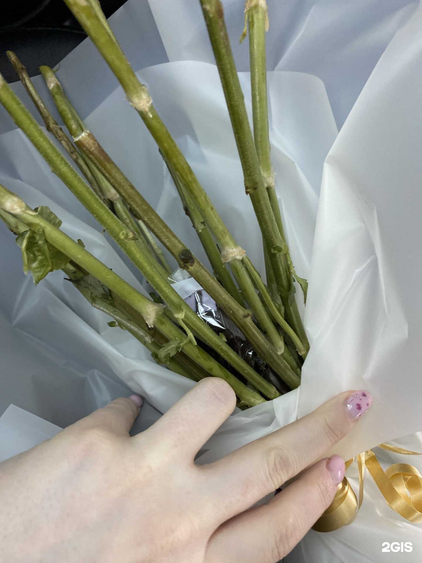 Отзывы на компанию Романтик в Нефтеюганске c фото