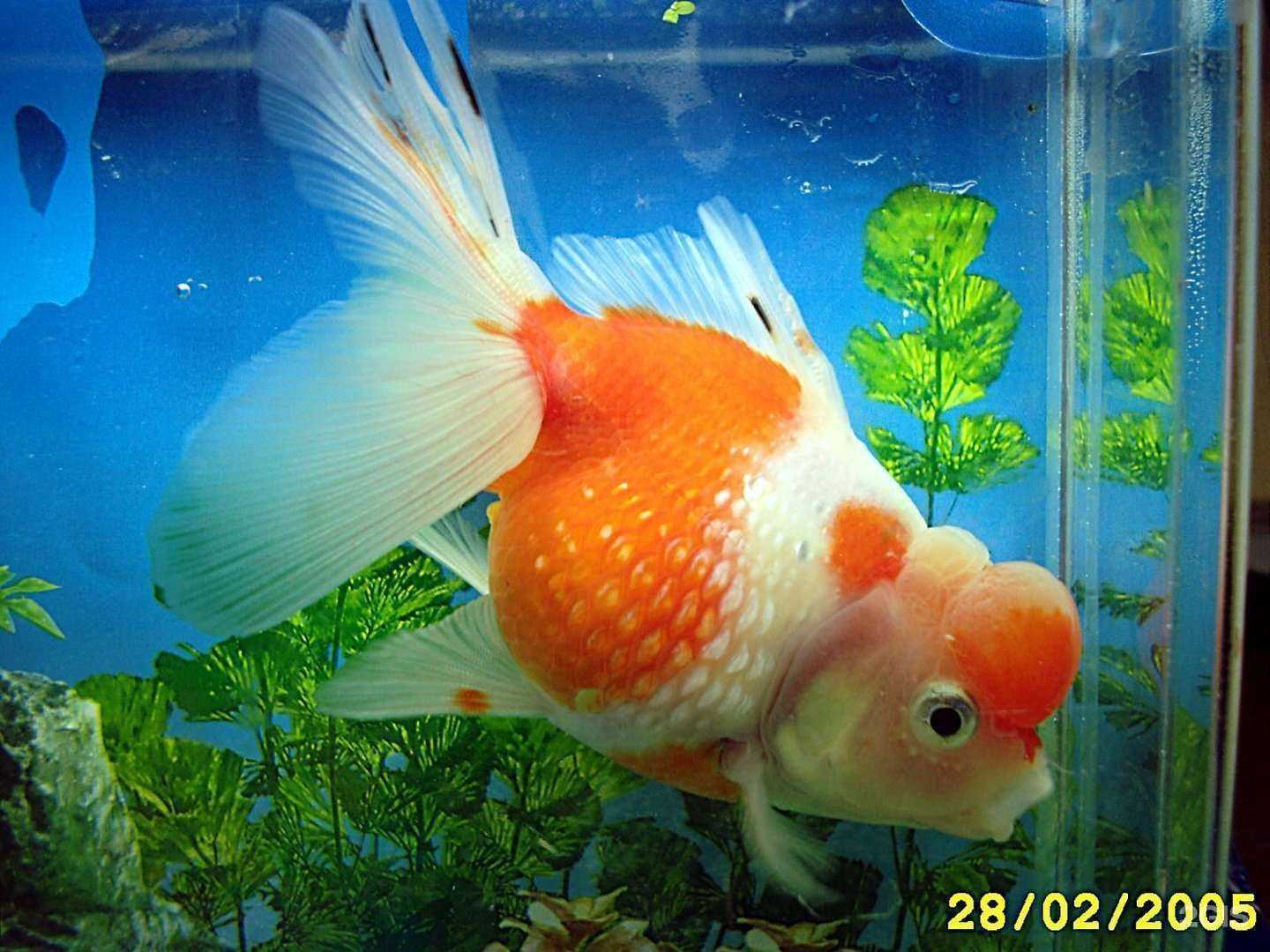 Отзывы на компанию Аквариум в г. Самара c фото