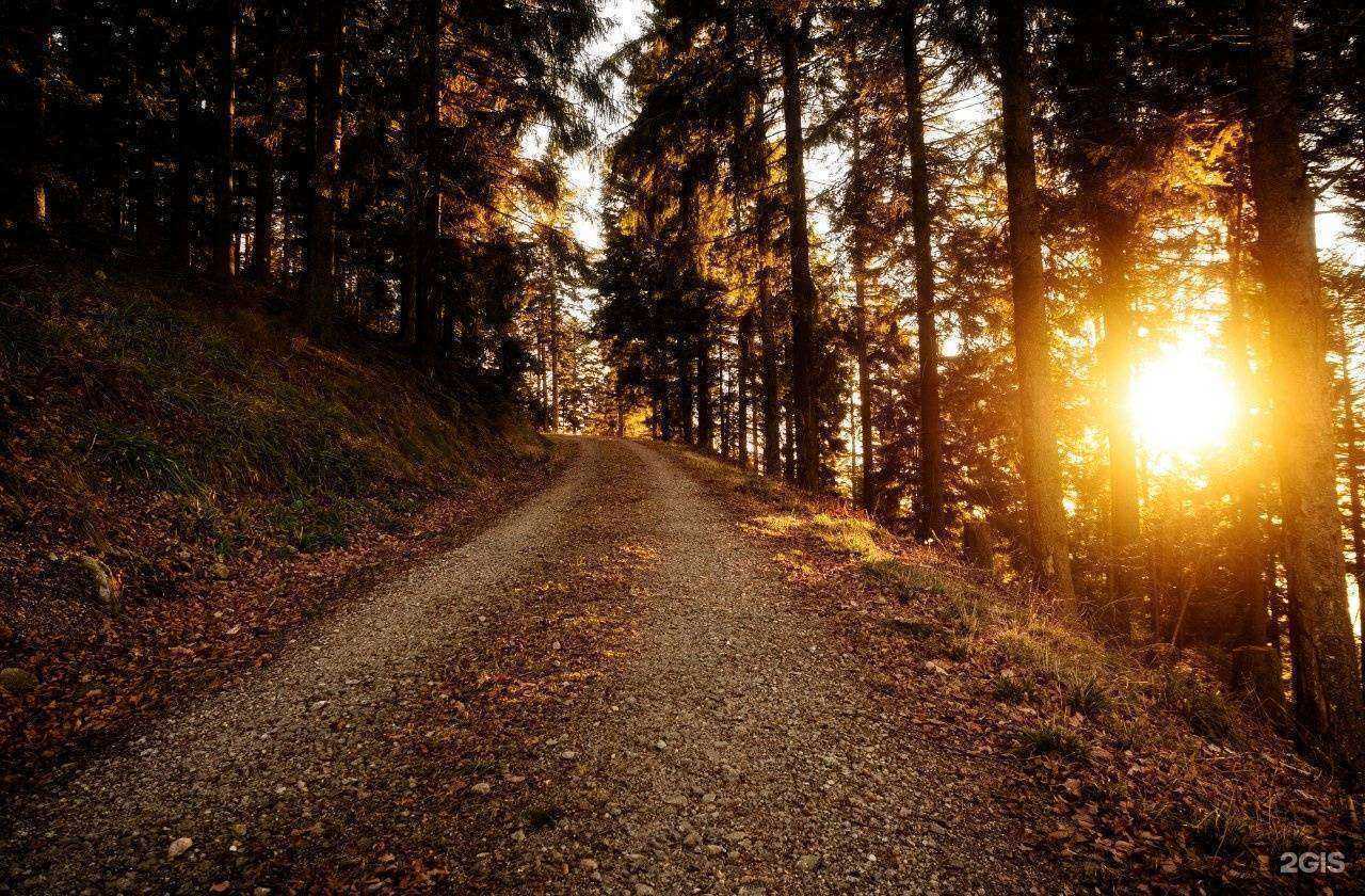 Отзывы на компанию Смартлето в г. Челябинск c фото