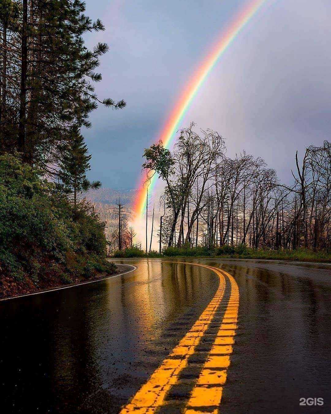 Отзывы на компанию Радуга авто в Челябинске c фото
