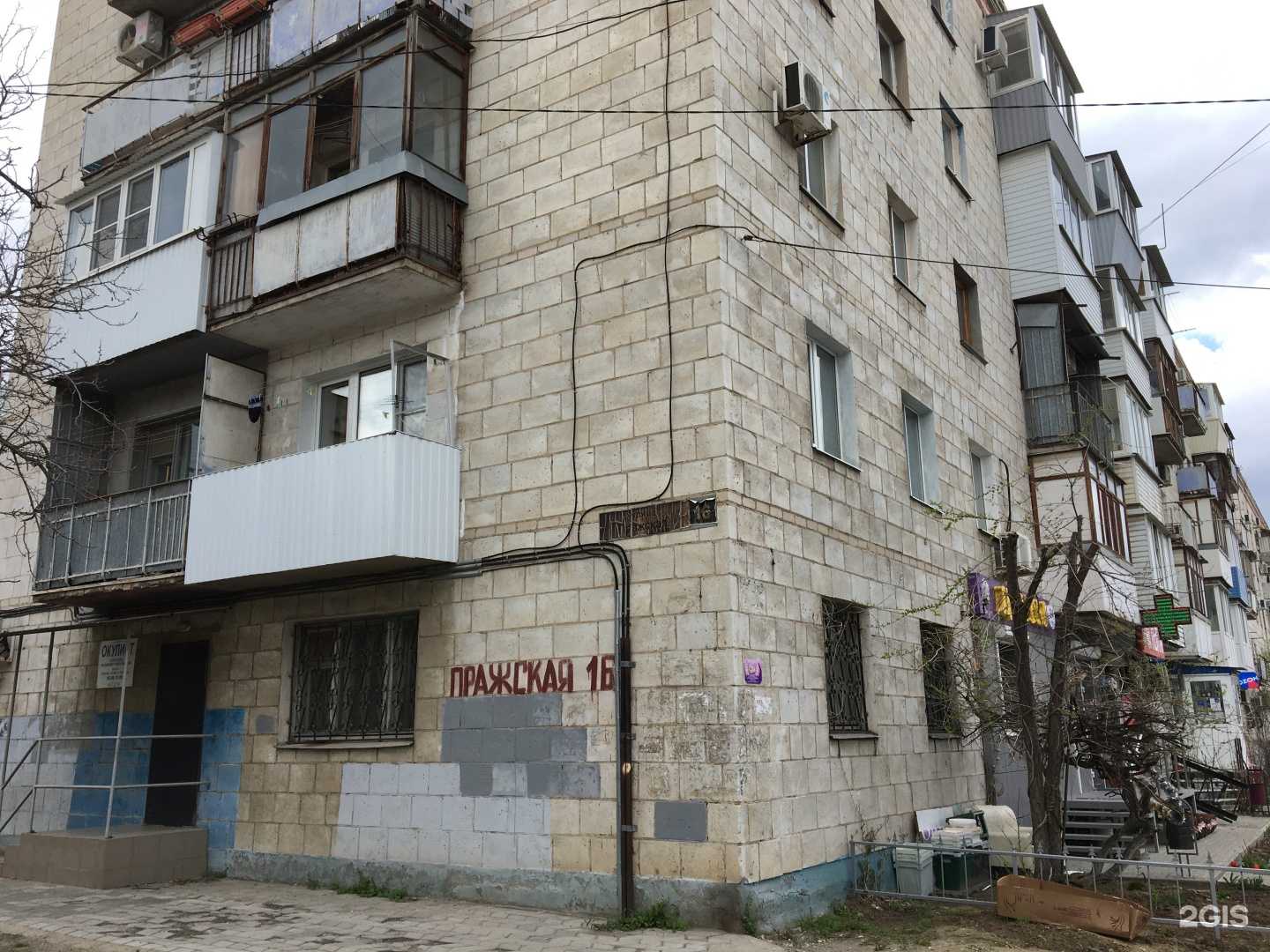 Отзывы на компанию Орхидея в Волгограде c фото - фотография 2 из 2