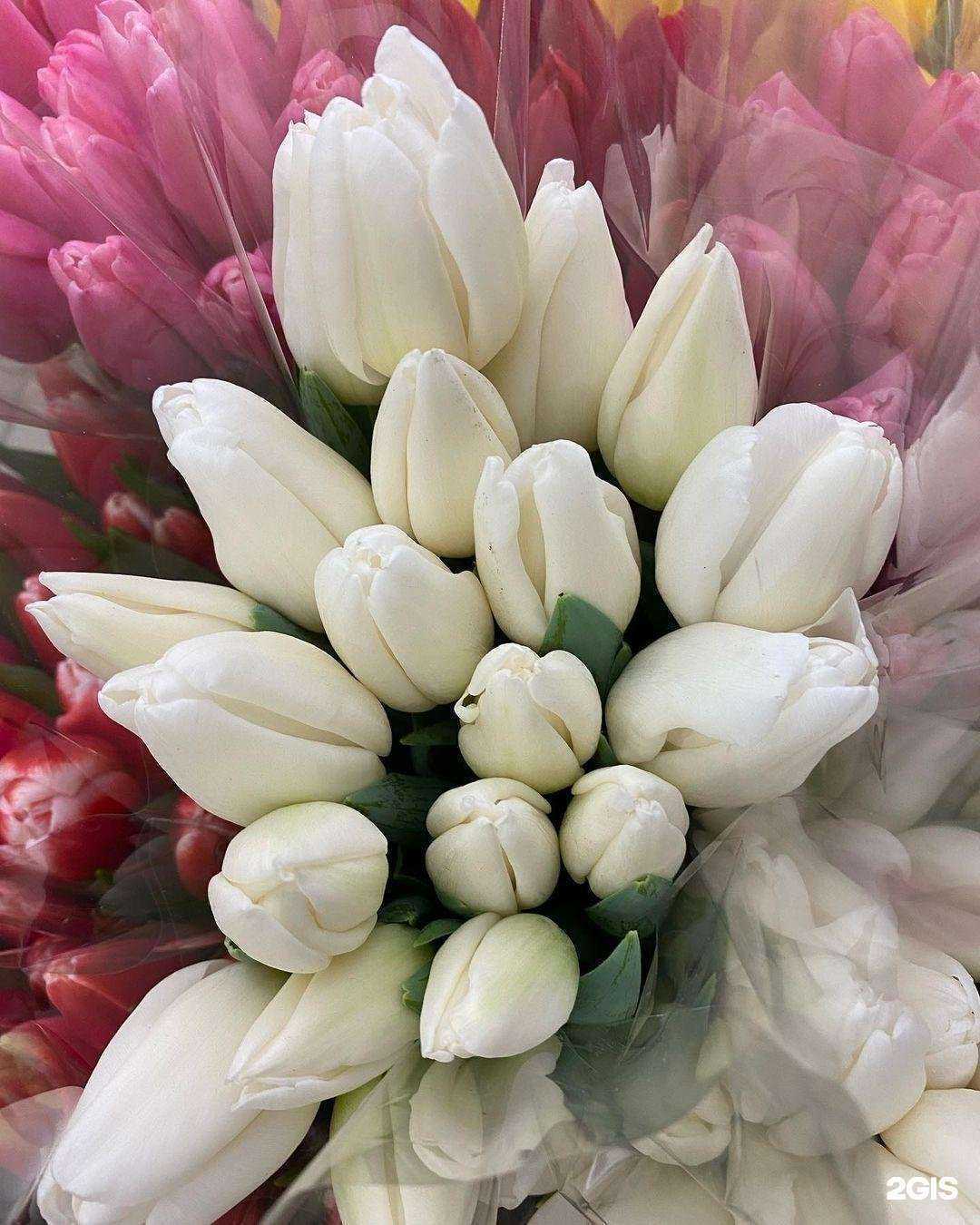 Отзывы на компанию Магазин цветов в Нижнем Новгороде c фото