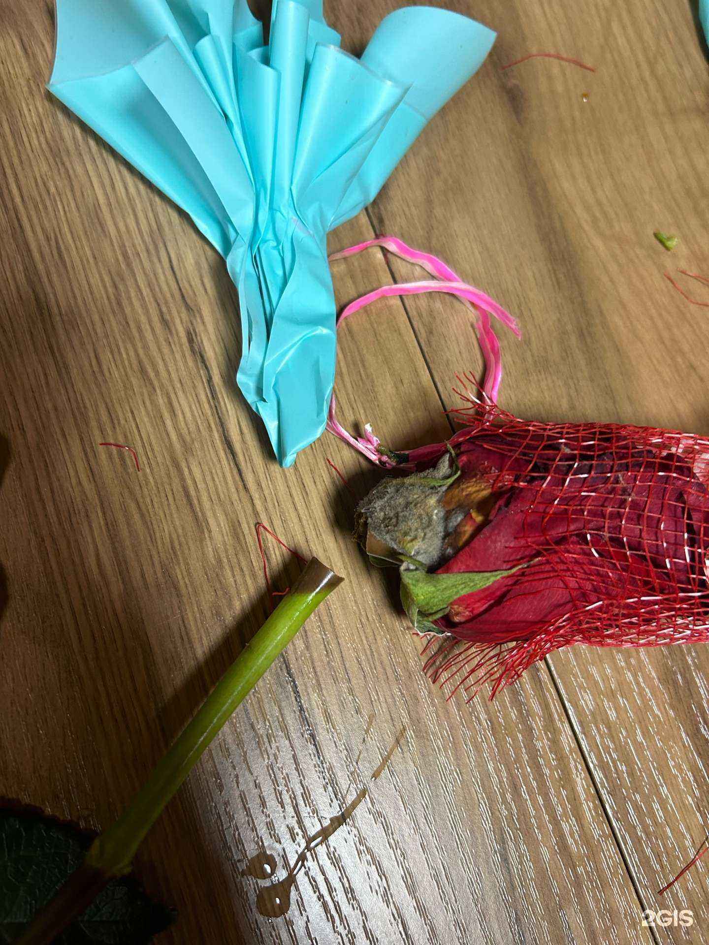 Отзывы на компанию Дом цветов в Иркутске c фото