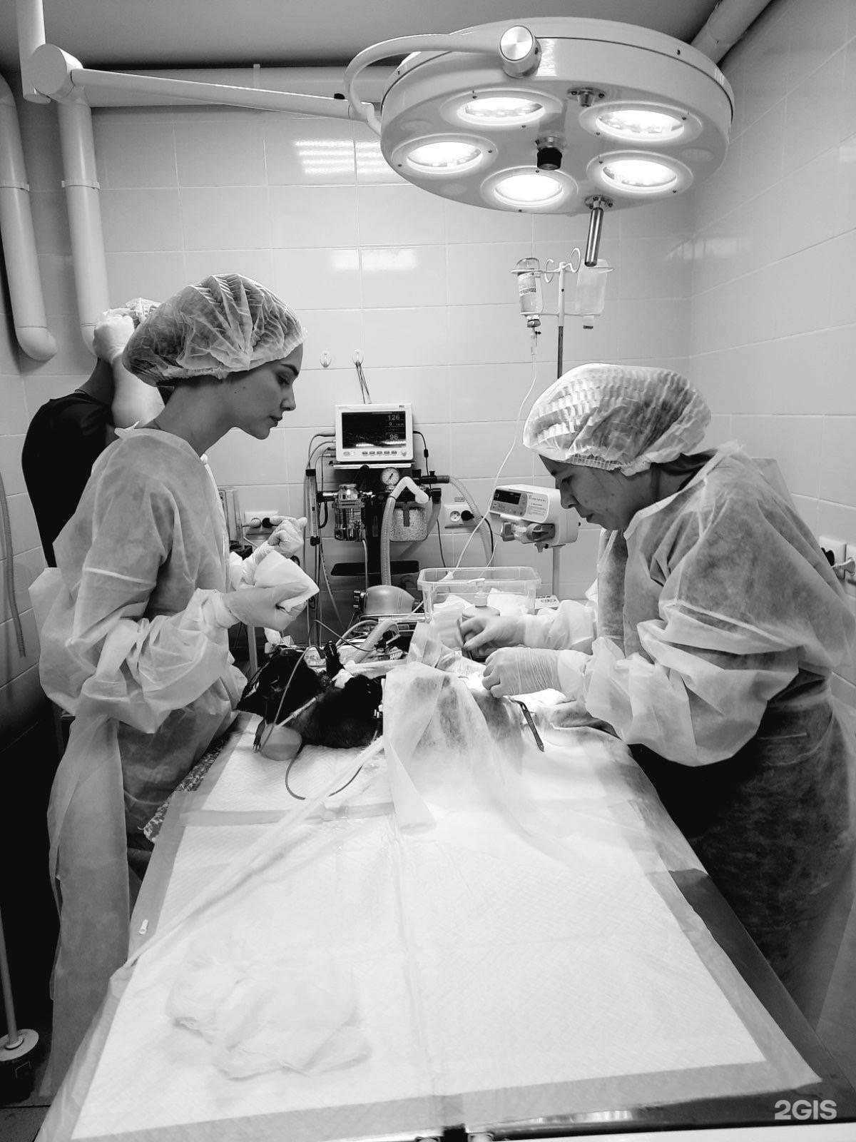 Отзывы на компанию 9 жизней в Ульяновске c фото