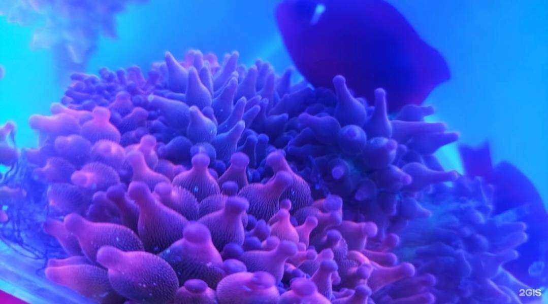 Отзывы на компанию Карась в Краснодаре c фото