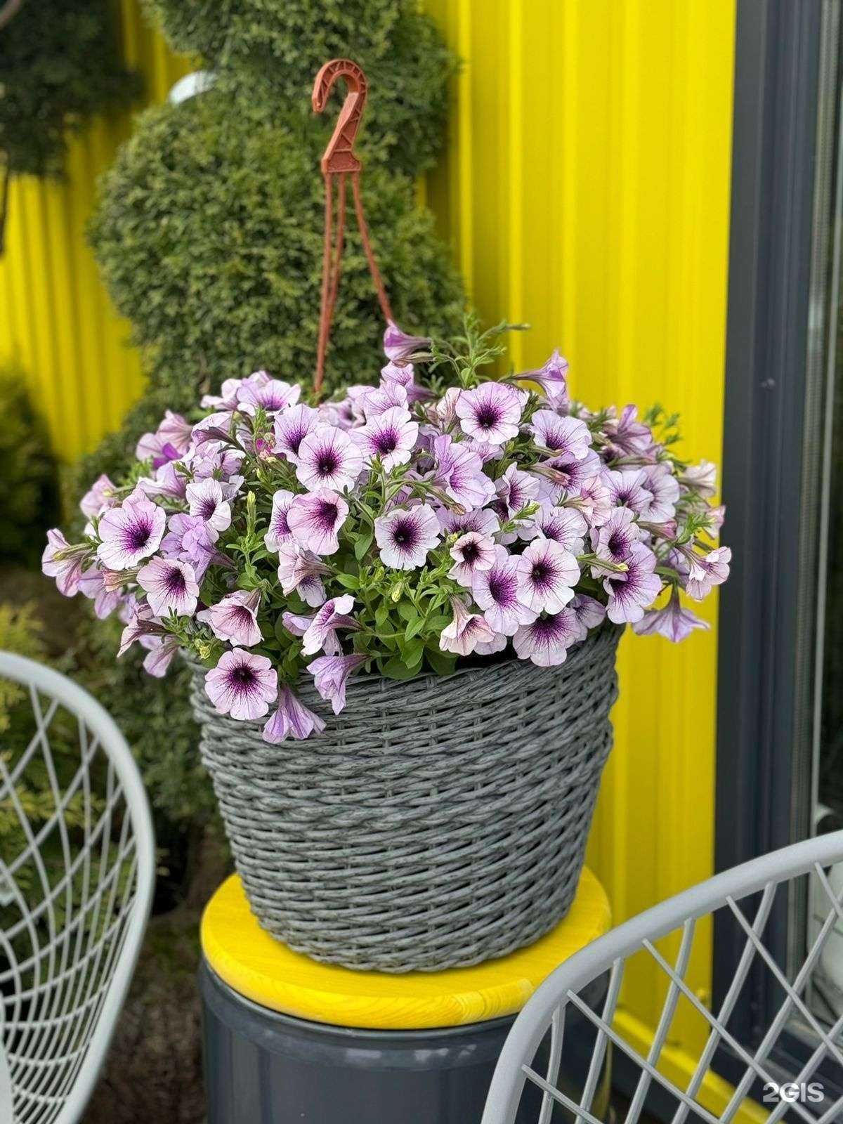 Отзывы на компанию Зеленика в г. Набережные Челны c фото