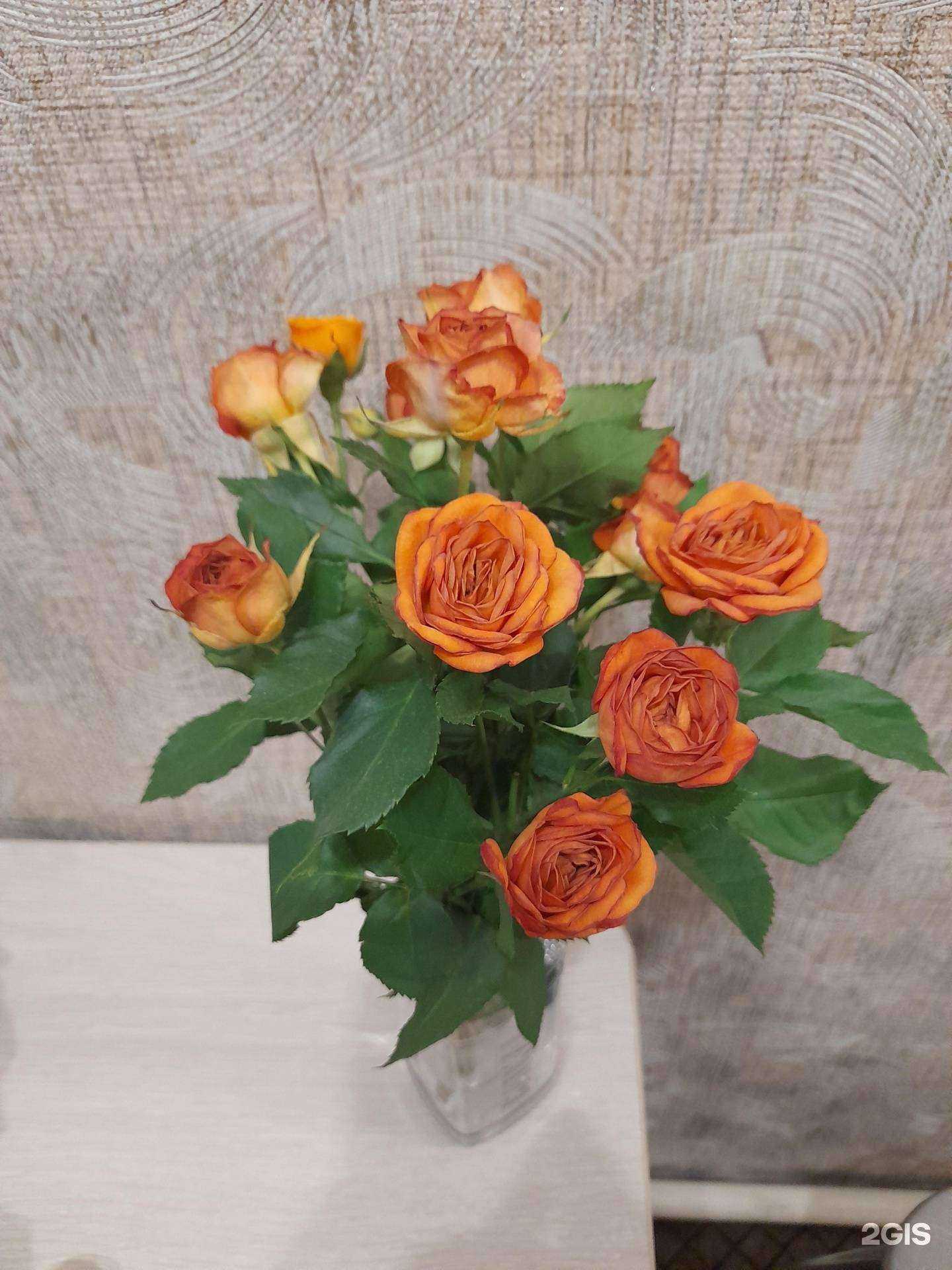 Отзывы на компанию Салон цветов в г. Красноярск c фото