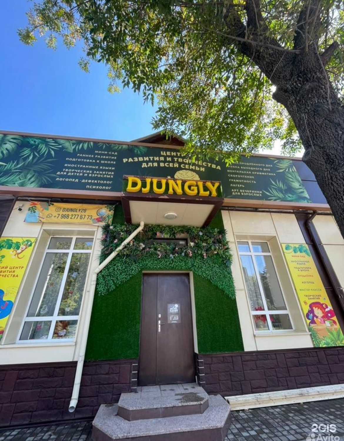 Отзывы на компанию Djungly в Ессентуках c фото