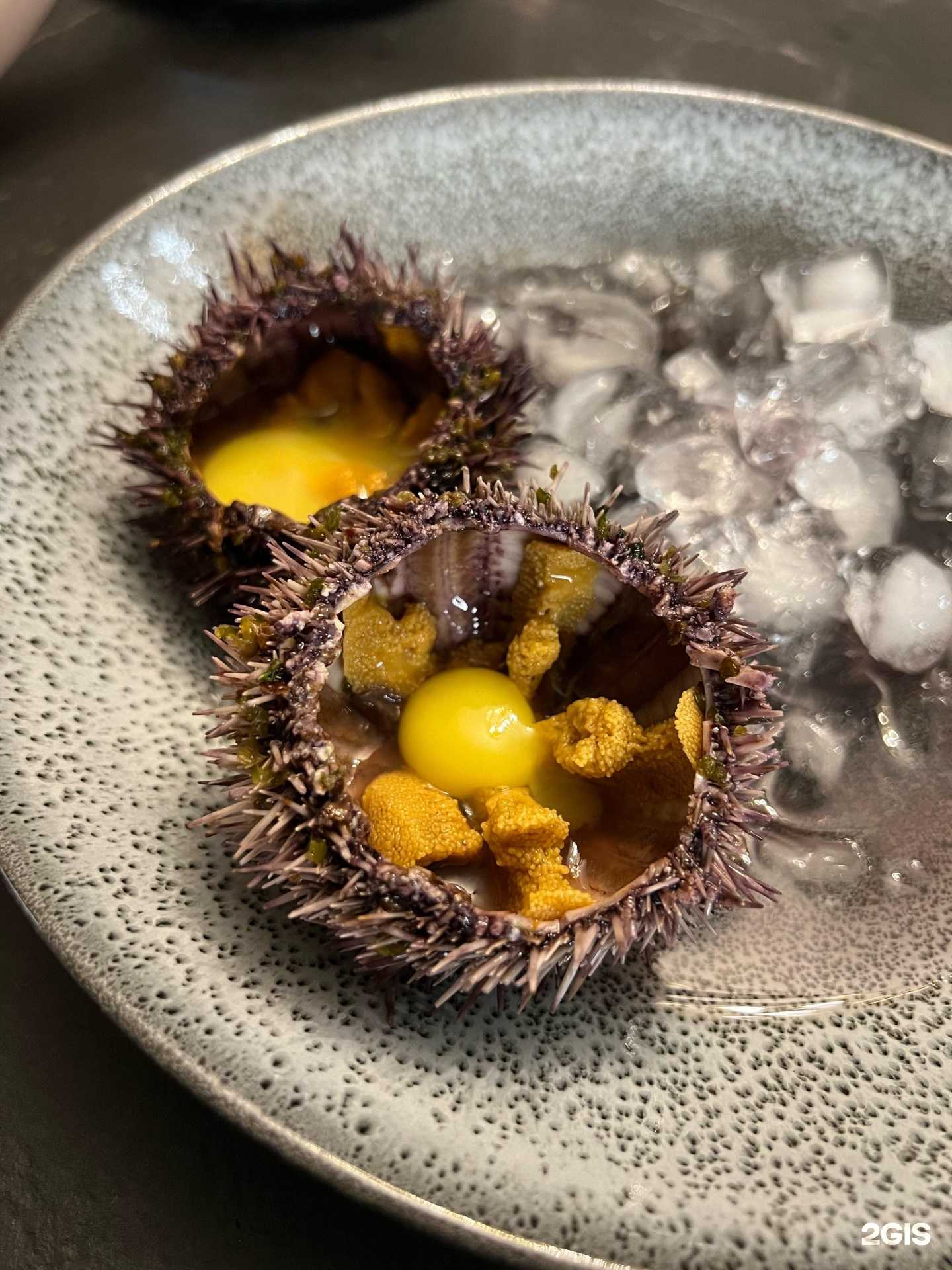 Отзывы на компанию Осьминог в г. Саратов c фото