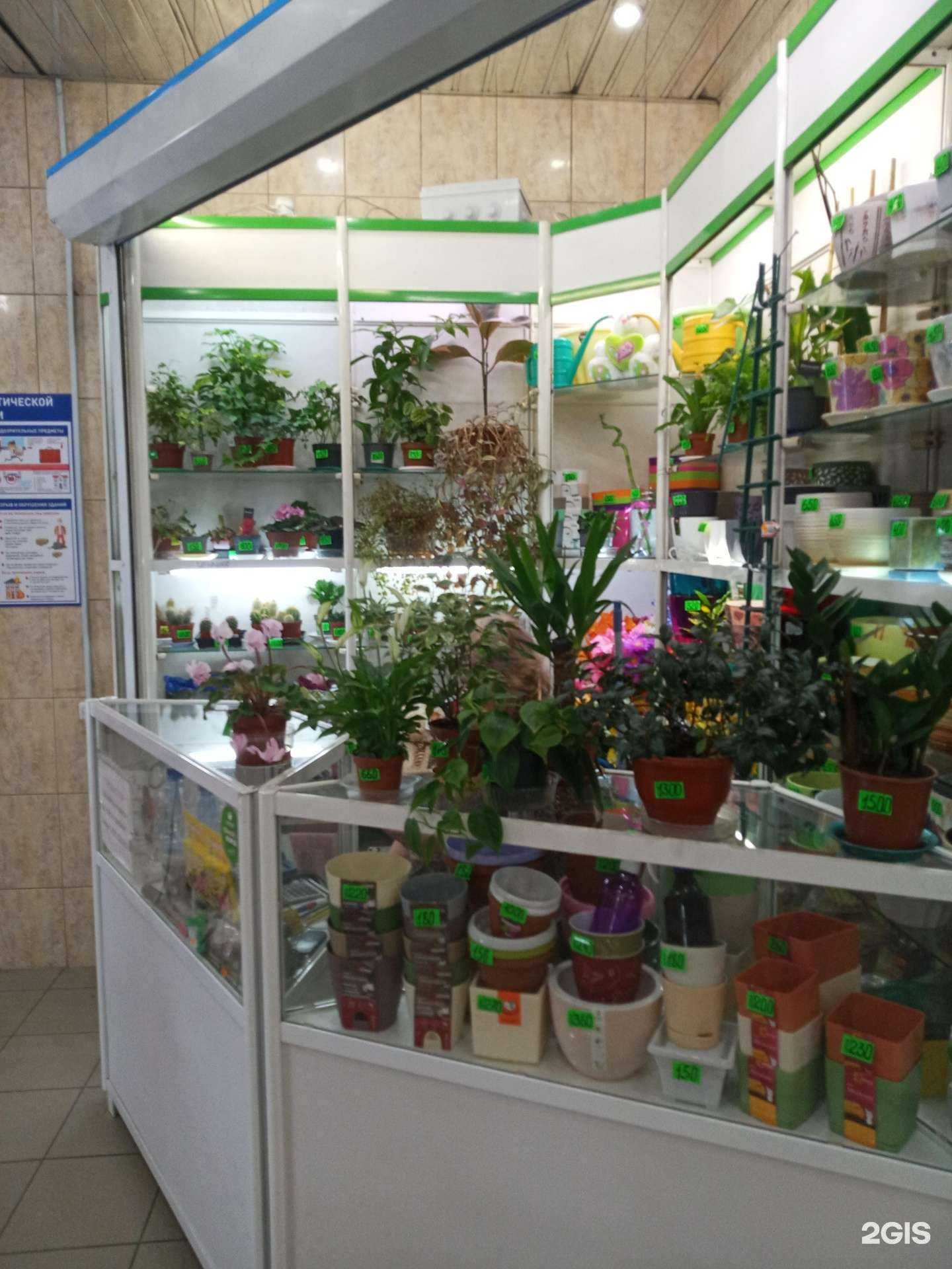 Отзывы на компанию 7 цветик в Мурманске c фото