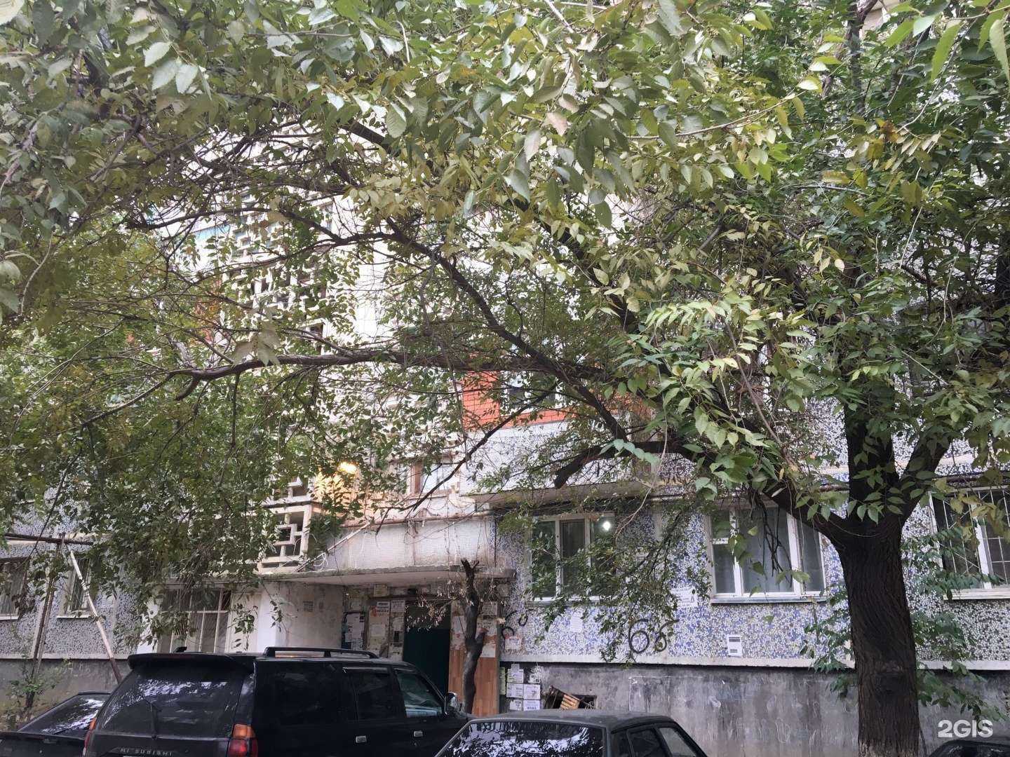 Отзывы на компанию Магнолия в Махачкале c фото - фотография 2 из 2