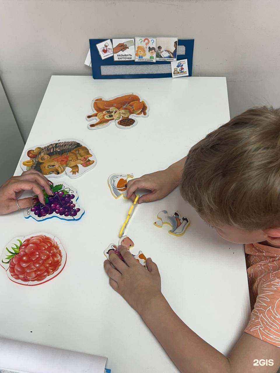 Отзывы на компанию Диада+ в Новосибирске c фото