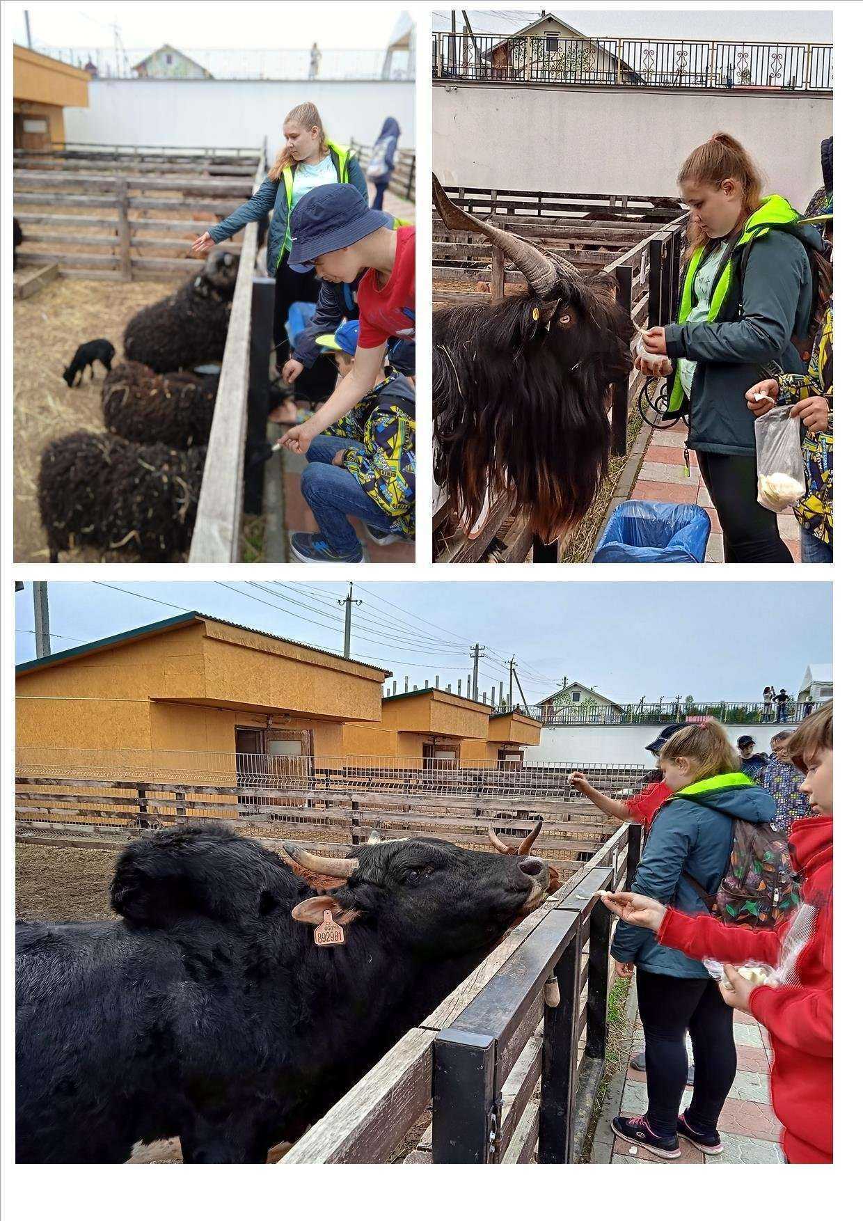 Отзывы на компанию Средняя школа №58 в г. Пенза c фото