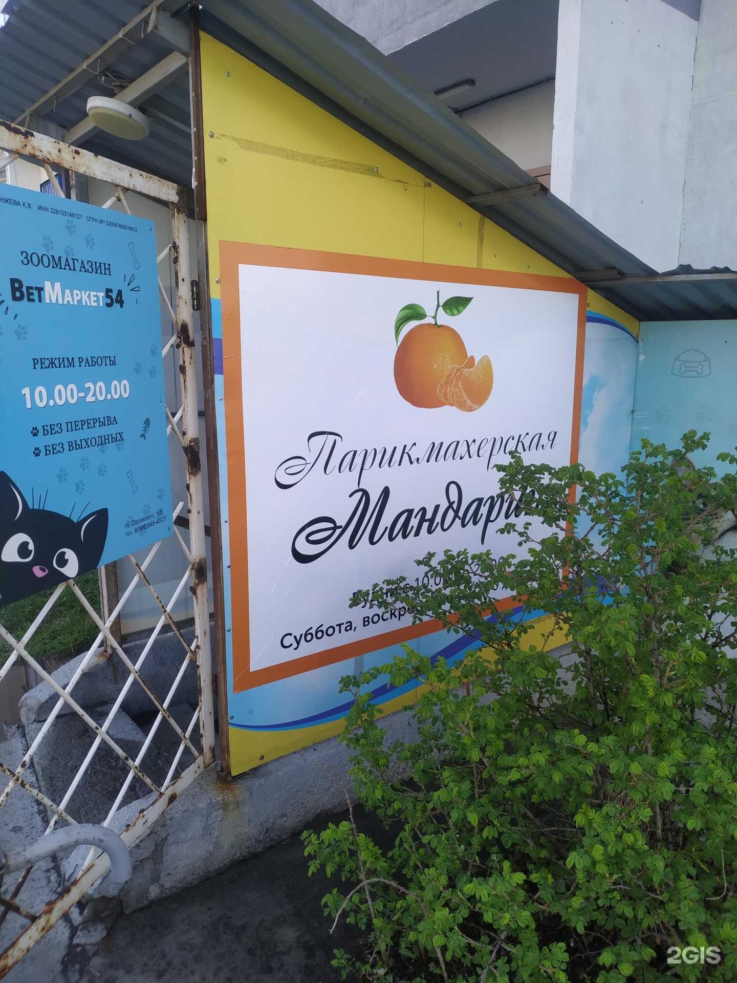 Отзывы на компанию Мандарин в г. Новосибирск c фото