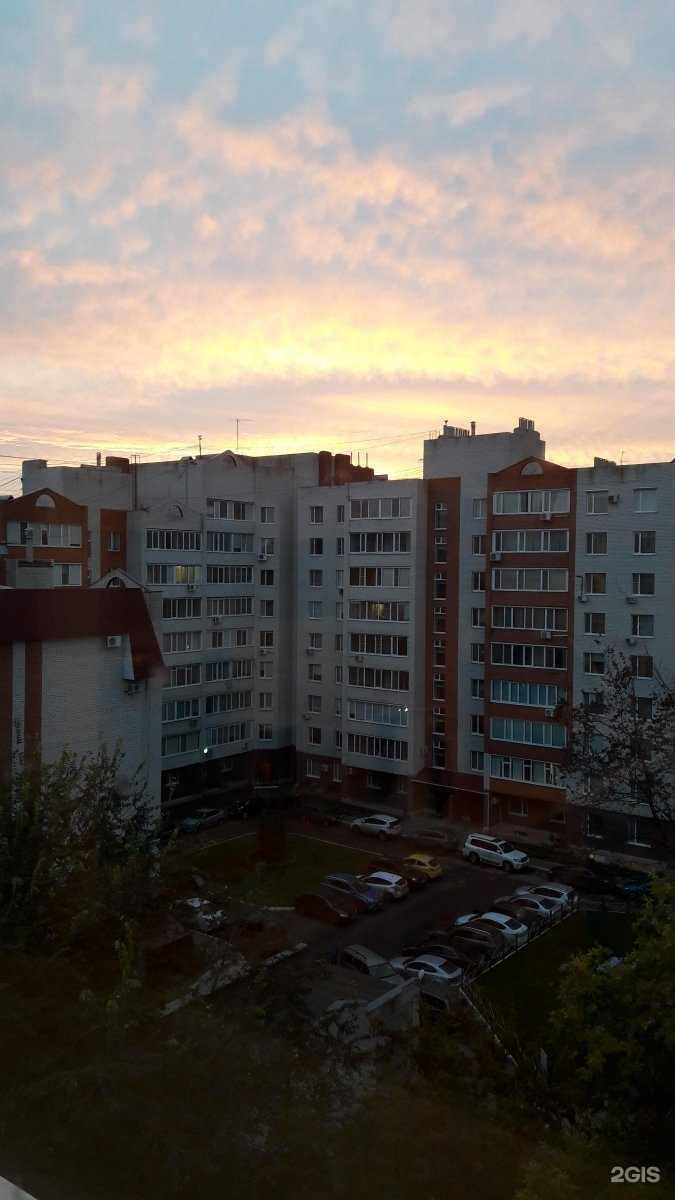 Отзывы на компанию Стоматология доктора Шаховой в Ульяновске c фото