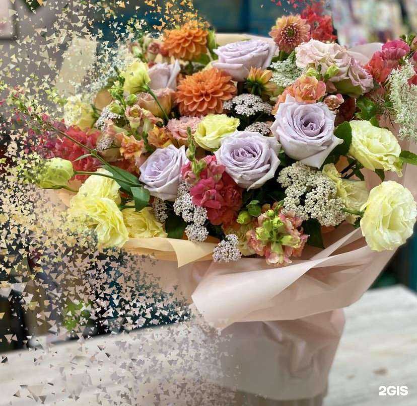 Отзывы на компанию Тюльпан и Кот в г. Ростов-на-Дону c фото