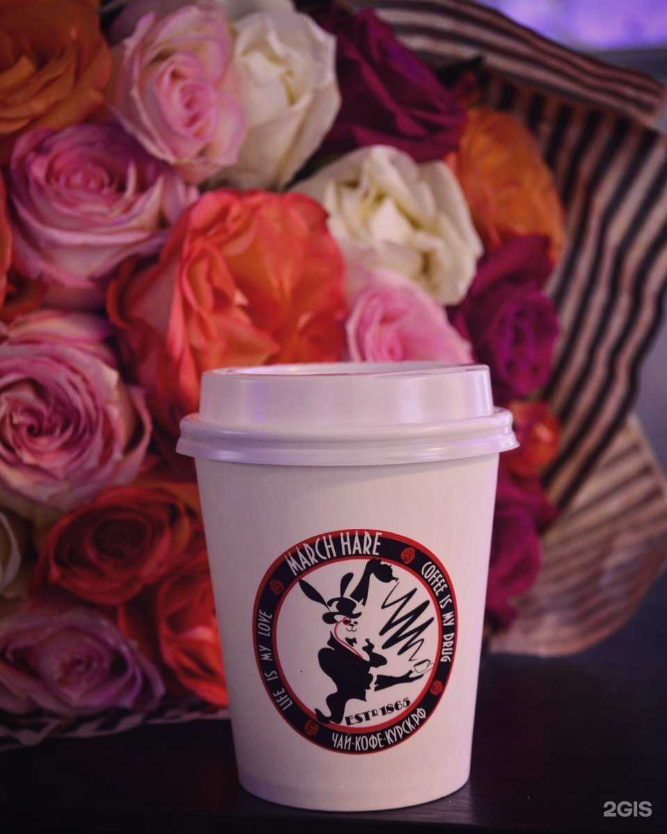 Отзывы на компанию Мартовский заяц / March hare в г. Курск c фото