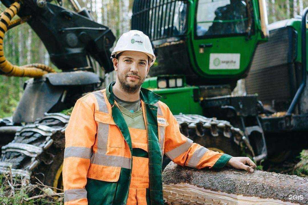 Отзывы на компанию Сегежа Групп в г. Петрозаводск c фото