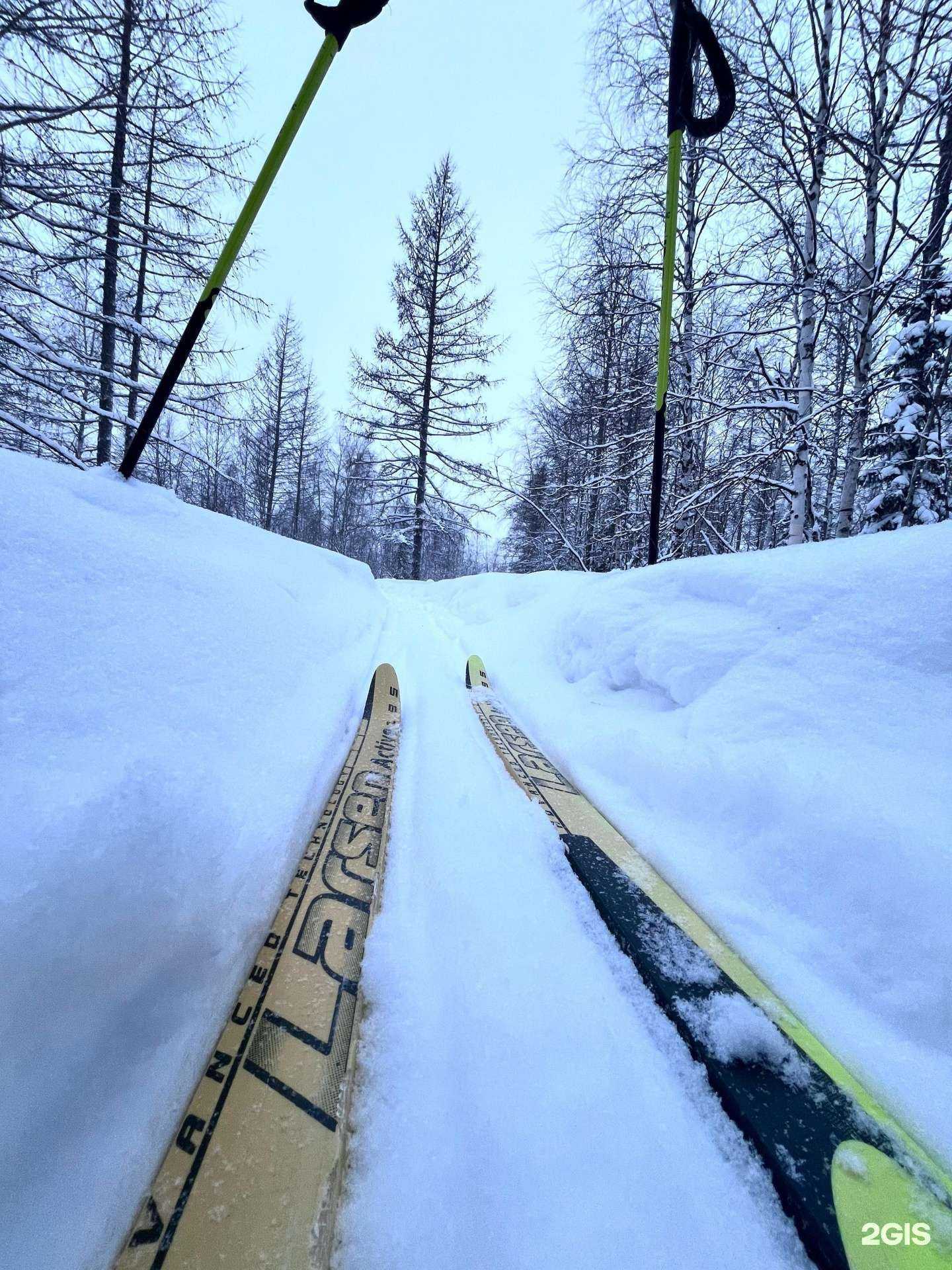 Отзывы на компанию Контакт в г. Новый Уренгой c фото
