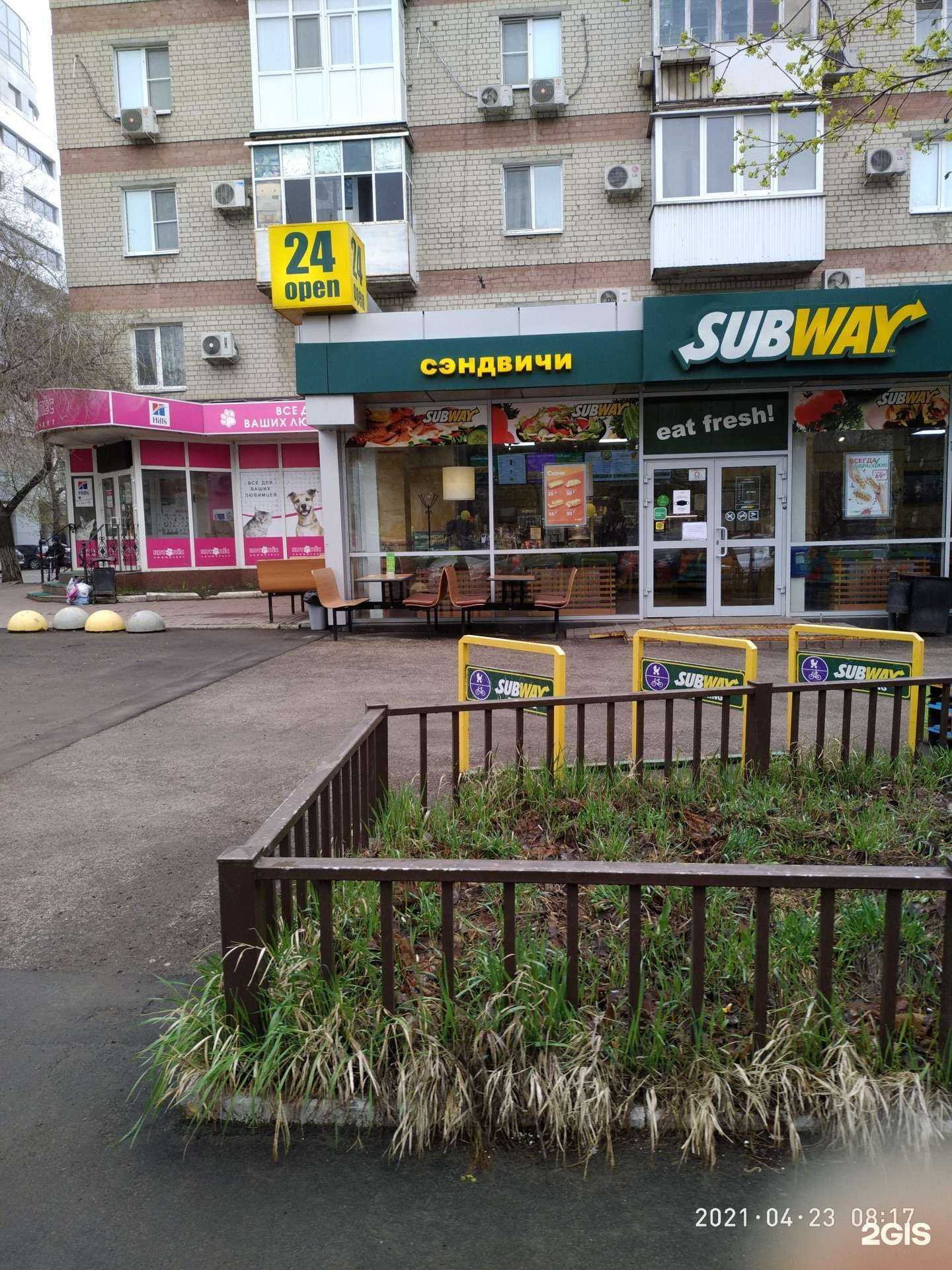 Отзывы на компанию Котопёс в Саратове c фото - фотография 2 из 2